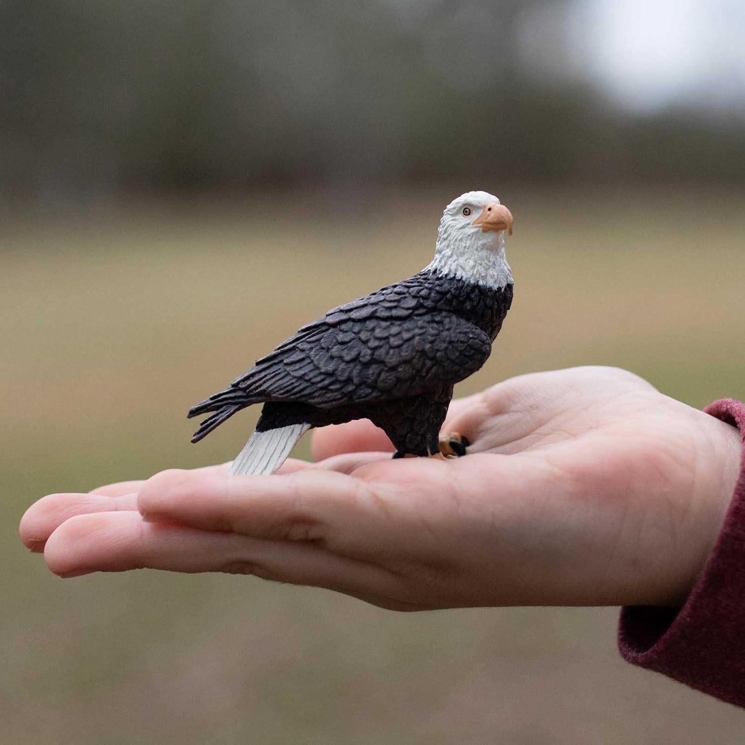 Figura de Águila Calva Safari Ltd. 5 cm Juguete Educativo