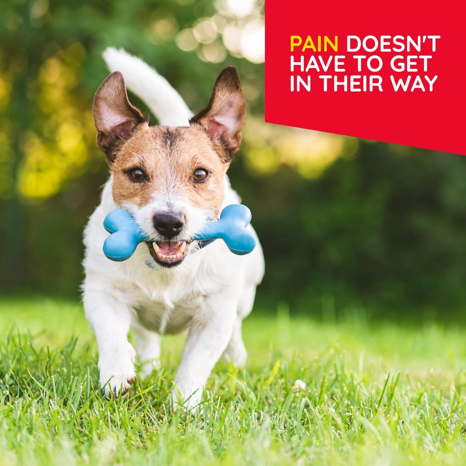 T-Relief Alivio Natural para Mascotas MediNatura 90 Tabletas