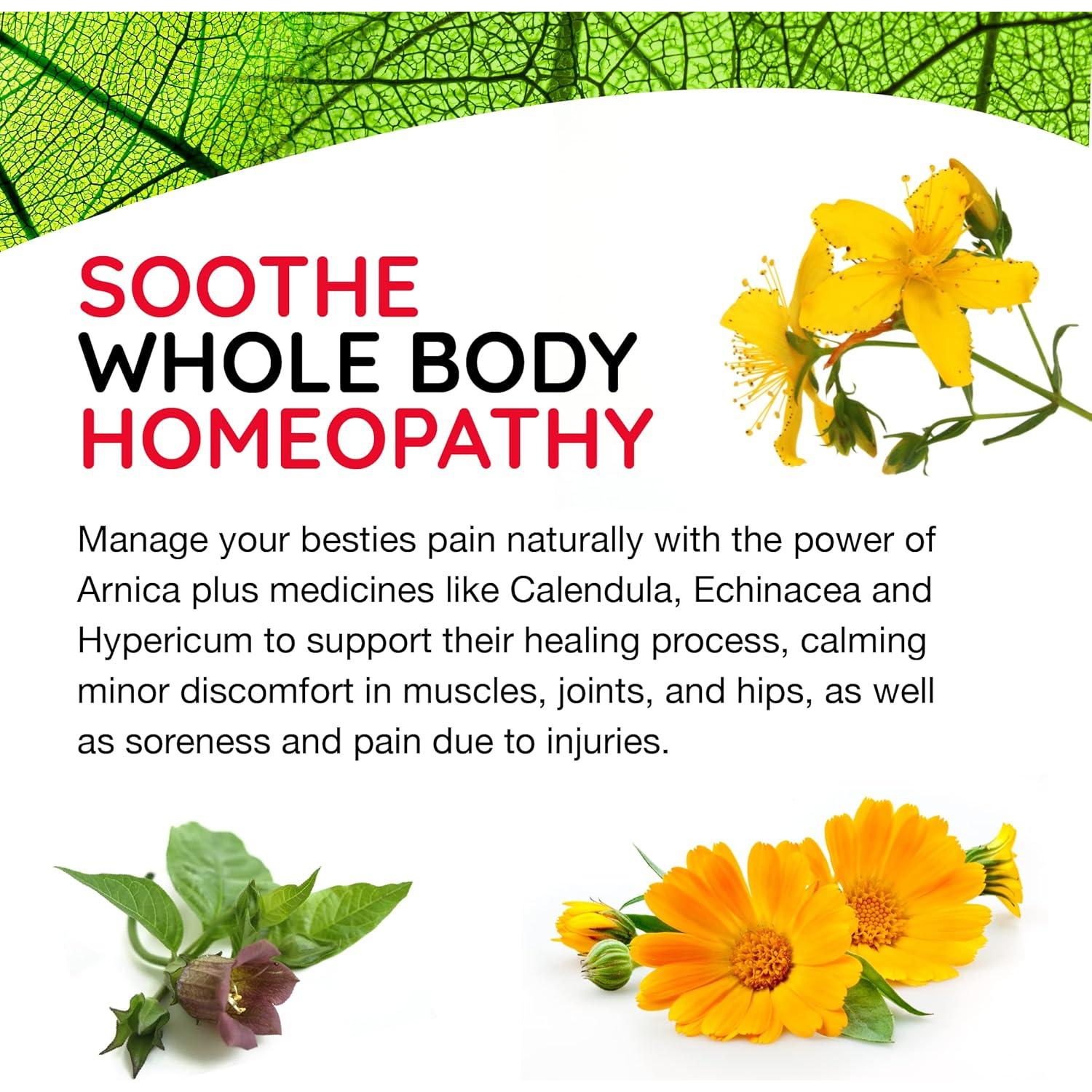 T-Relief Alivio Natural para Mascotas MediNatura 90 Tabletas