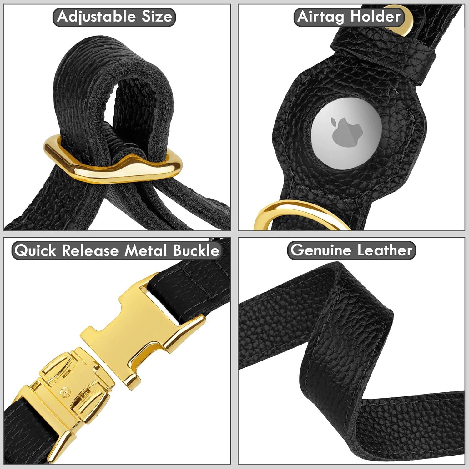 Collar de perro de cuero Budkas con soporte para AirTag - XS 23-31 cm