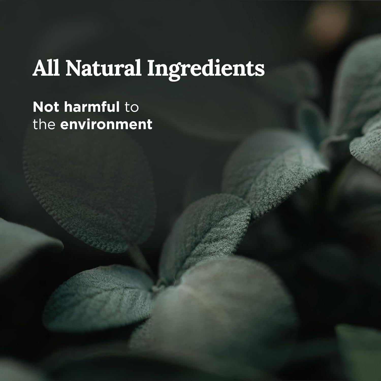 Magnificent 101 Long Lasting Pure White Sage Smoke Smudge Candle | 6 Oz - 35 Hour Burn | Made of Soy Wax for House Energy Cleansing Purification, Chakra Healing & Manifestation