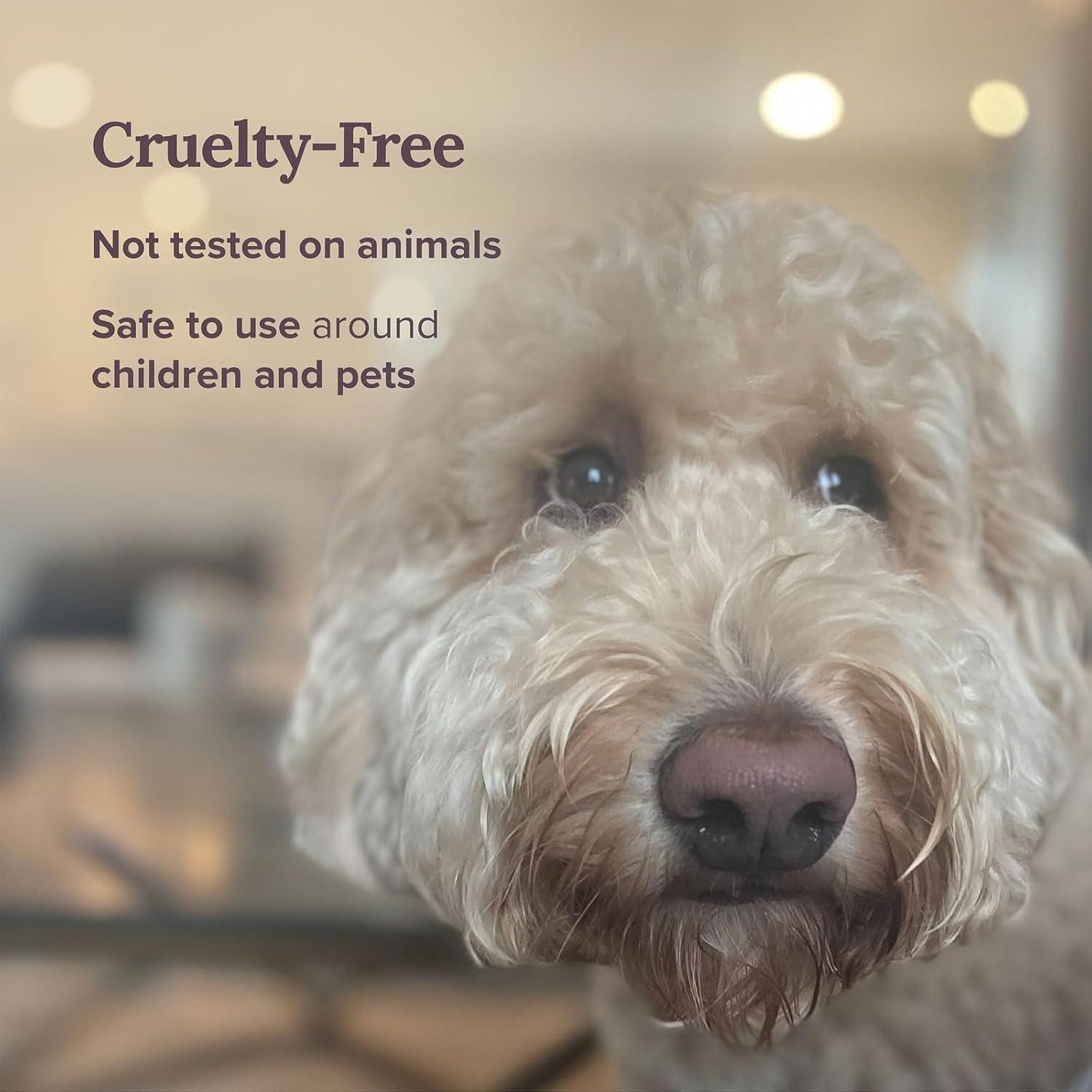 Magnificent 101 Long Lasting Pure White Sage Smoke Smudge Candle | 6 Oz - 35 Hour Burn | Made of Soy Wax for House Energy Cleansing Purification, Chakra Healing & Manifestation