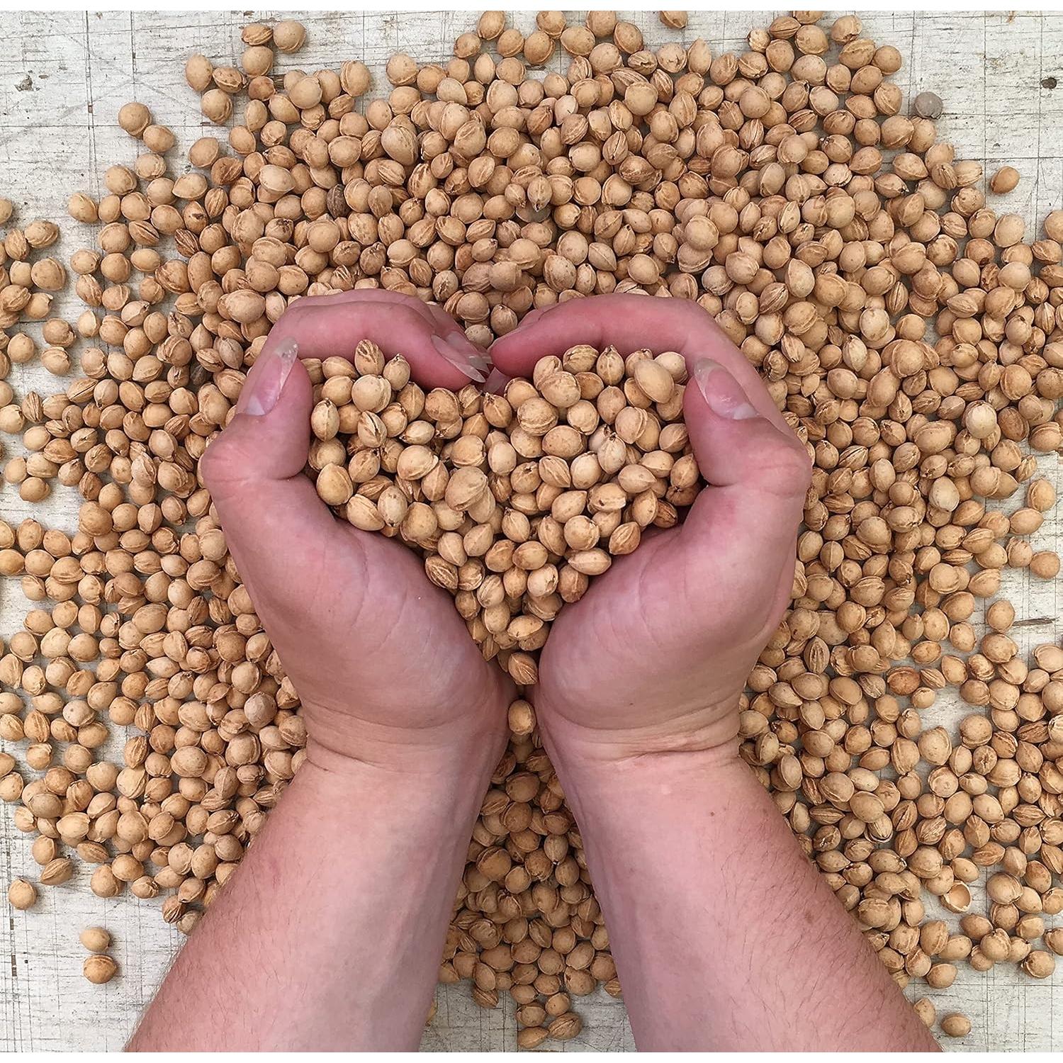 Almohada Térmica Hot Cherry de Denim Natural 25x25 cm