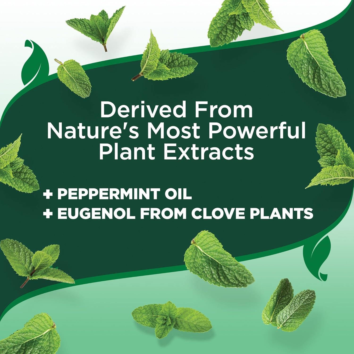 Vet's Best Flea and Tick Yard and Kennel Spray – Natural Yard Treatment for Fleas, Ticks and Mosquitoes – Plant and Pet Safe Outdoor Spray with Certified Natural Oils – Made in USA – 96 oz Refill