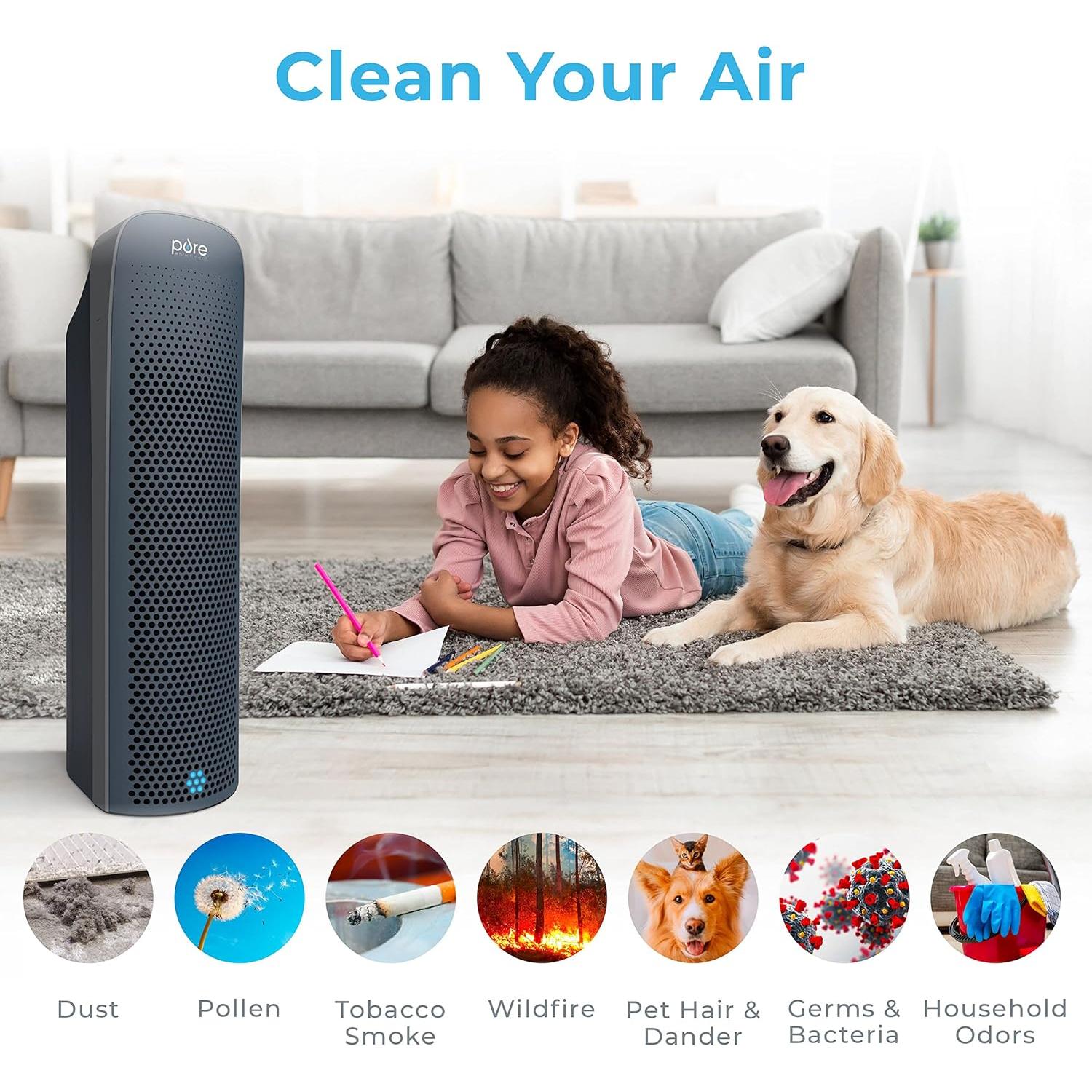 Purificador de Aire Pure Enrichment PureZone Elite HEPA