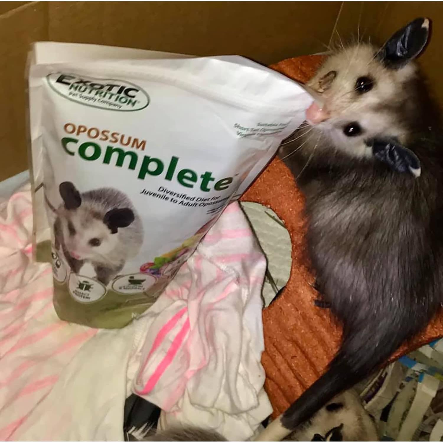 Comida para Opossum Exotic Nutrition 6.8 kg - Dieta Completa