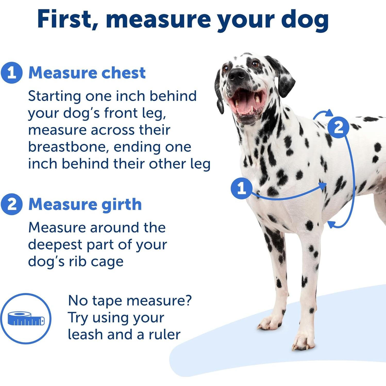 Arnés para Perros PetSafe Easy Walk Sin Tirones - Pequeño/Mediano