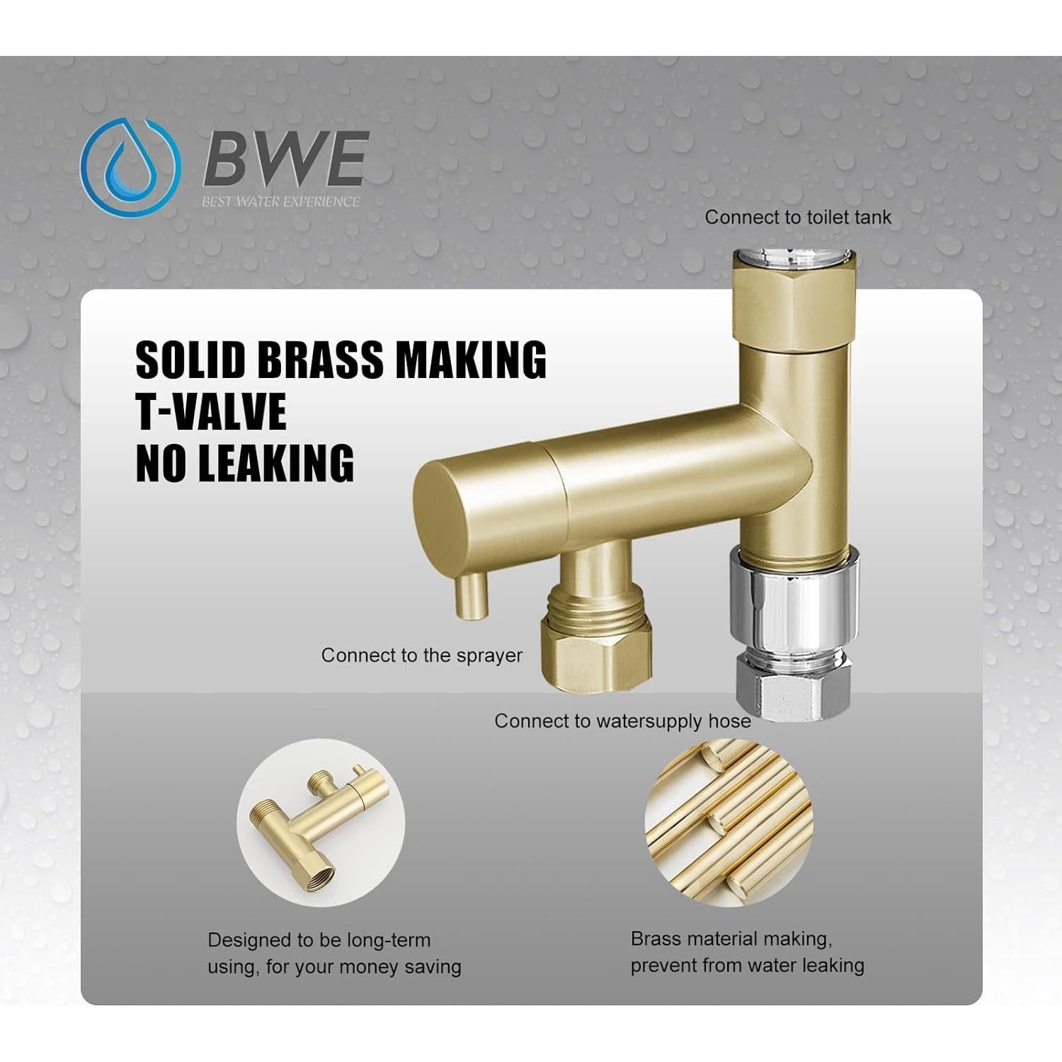 Rociador de Bidet de Mano BWE Oro Cepillado con Manguera