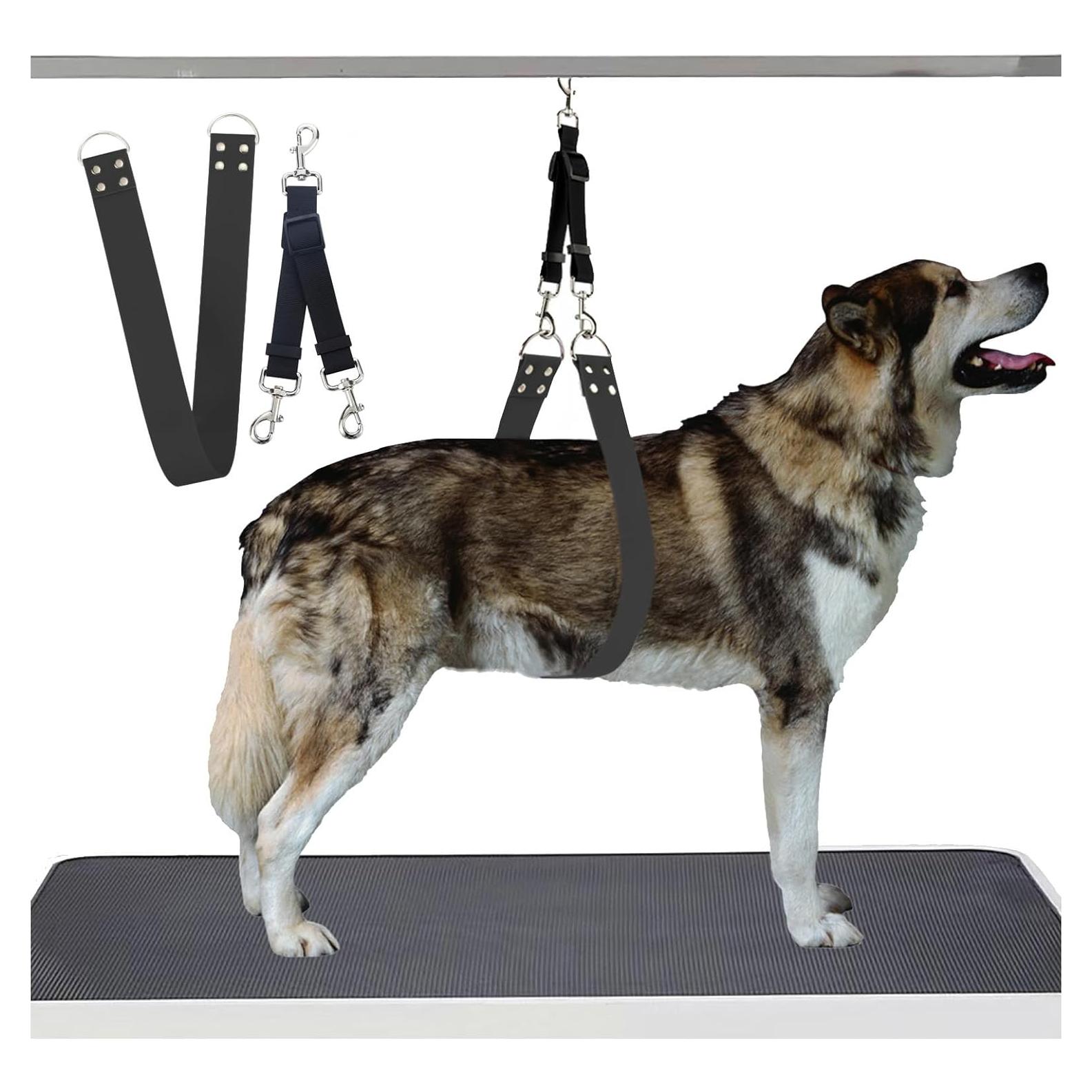 Correa de Barriga para Acicalamiento de Perros DISCPETSEC - Ancha y Impermeable