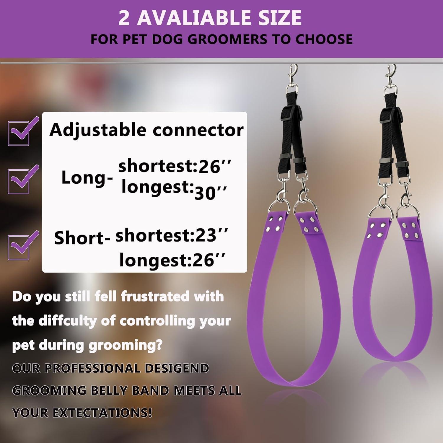 Correa de Barriga para Acicalamiento de Perros DISCPETSEC - Ancha y Impermeable