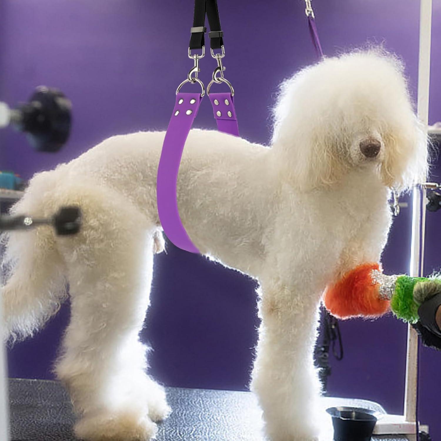 Correa de Barriga para Acicalamiento de Perros DISCPETSEC - Ancha y Impermeable