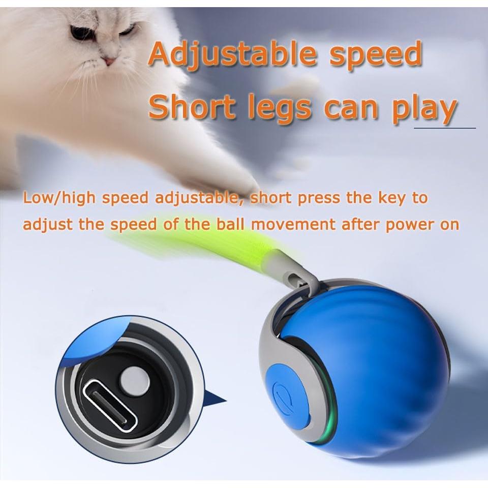 Juguete Interactivo para Gatos Speedy Tail 2.0 Azul