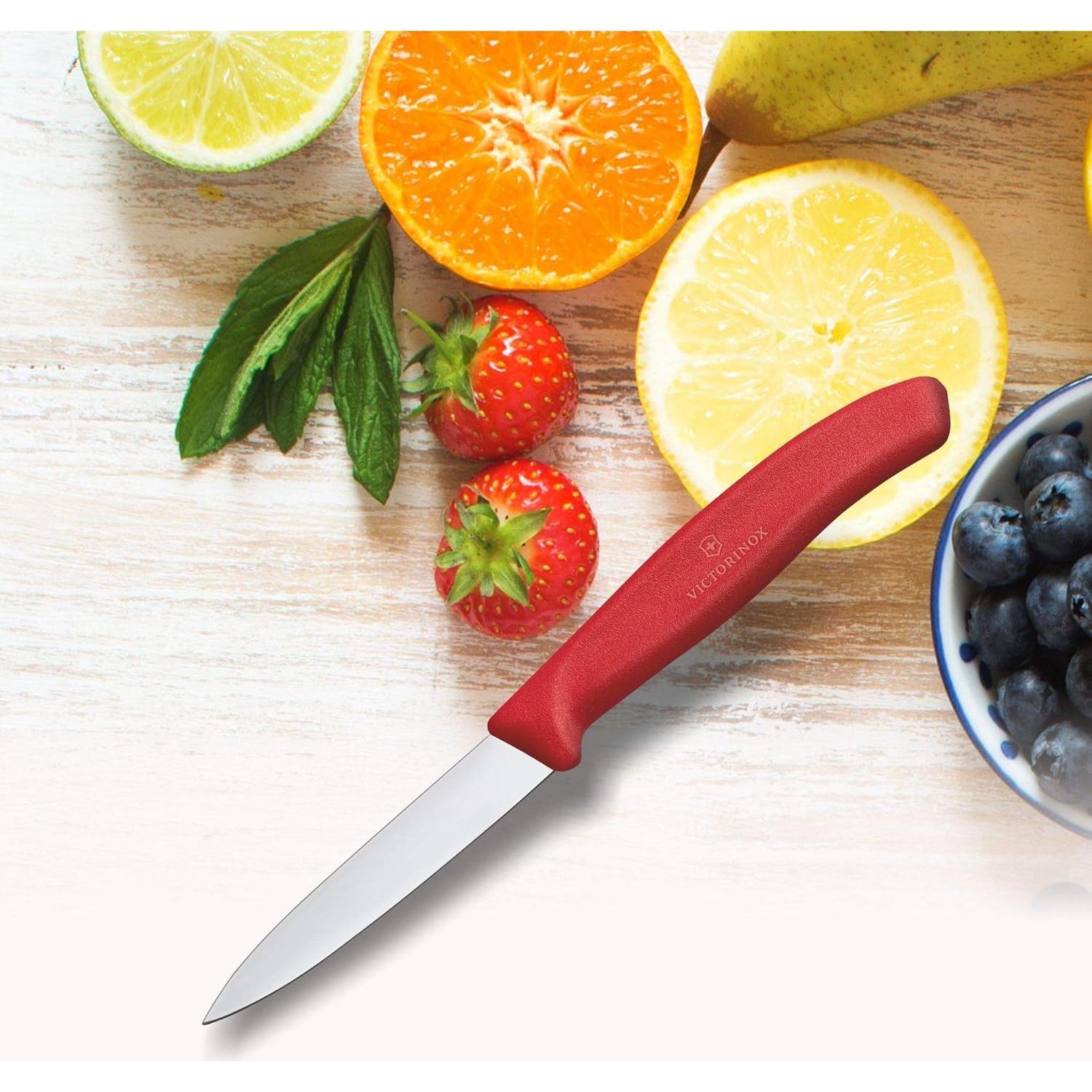 Cuchillo de Cocina Victorinox VIC-6.7601 10 cm Rojo