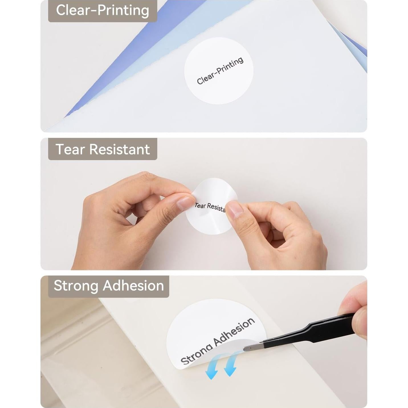 Cinta de Etiquetas NIIMBOT B21 31x31 mm 210 Etiquetas x 2 Rollos