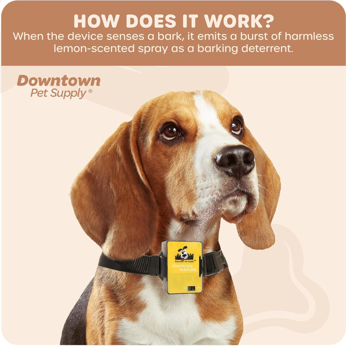 Collar Antibark de Citronela Downtown Pet Supply - Entrenamiento Seguro