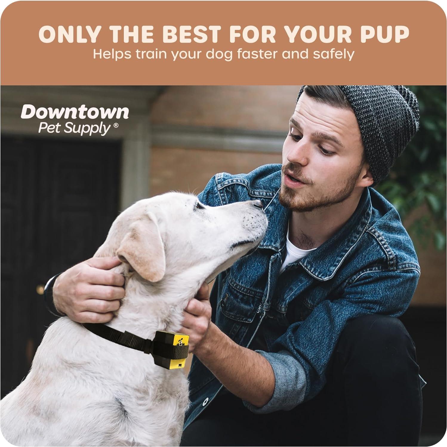 Collar Antibark de Citronela Downtown Pet Supply - Entrenamiento Seguro