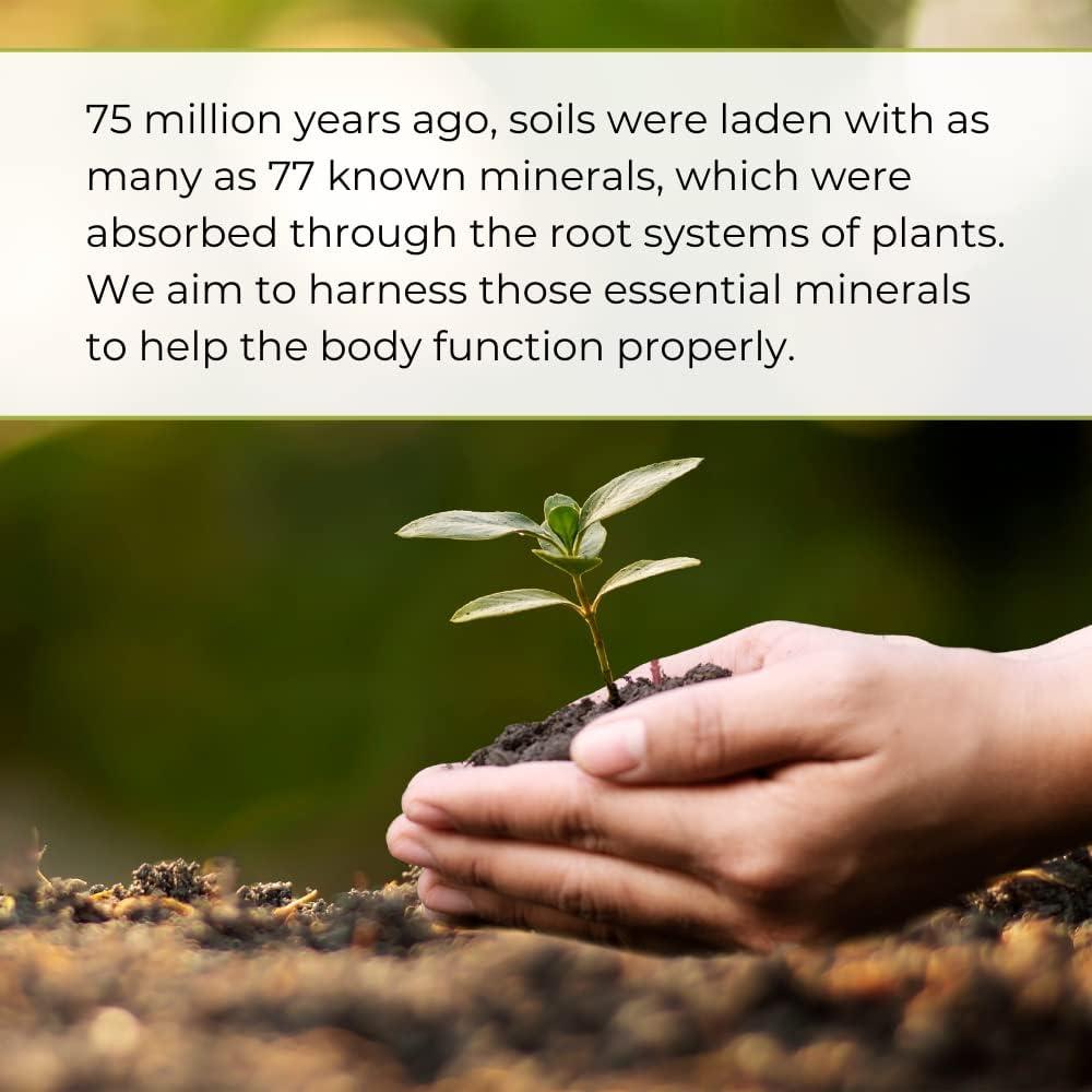 Minerales Líquidos Youngevity 77+ 32 oz - Suplemento Natural