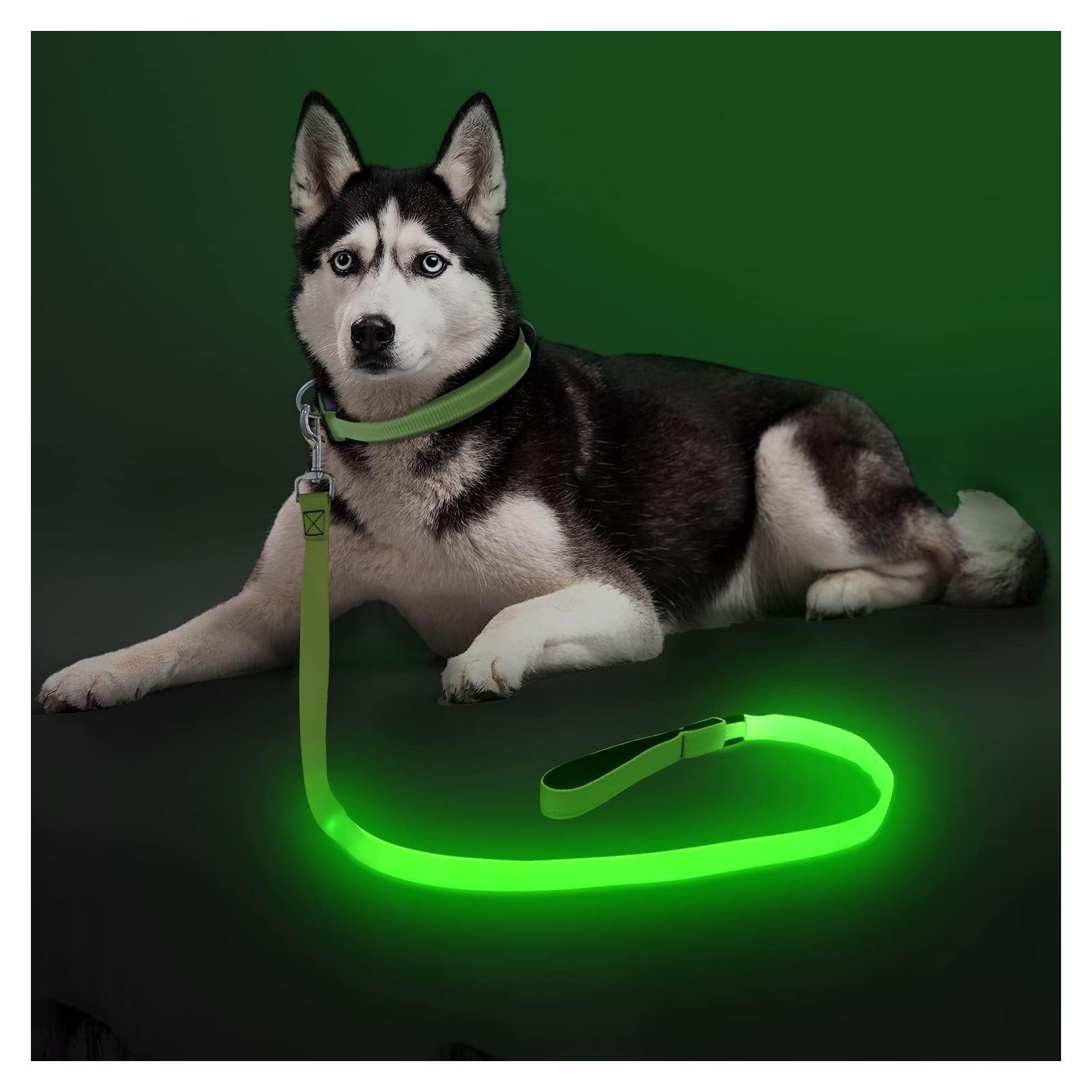 Correa para Perros Bisen LED Recargable 4FT Verde Seguridad