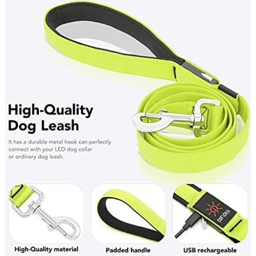 Correa para Perros Bisen LED Recargable 4FT Verde Seguridad