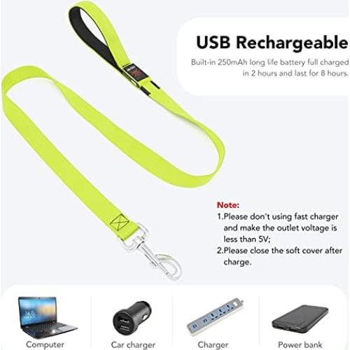 Correa para Perros Bisen LED Recargable 4FT Verde Seguridad