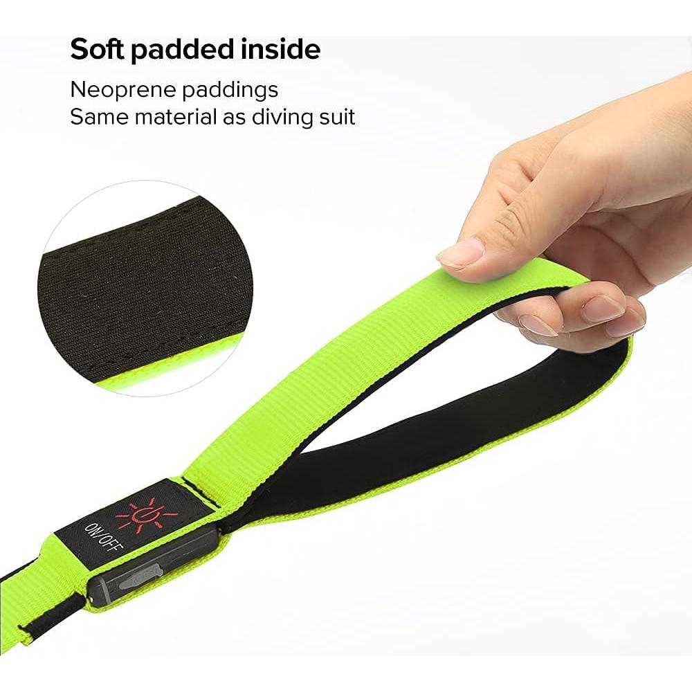 Correa para Perros Bisen LED Recargable 4FT Verde Seguridad