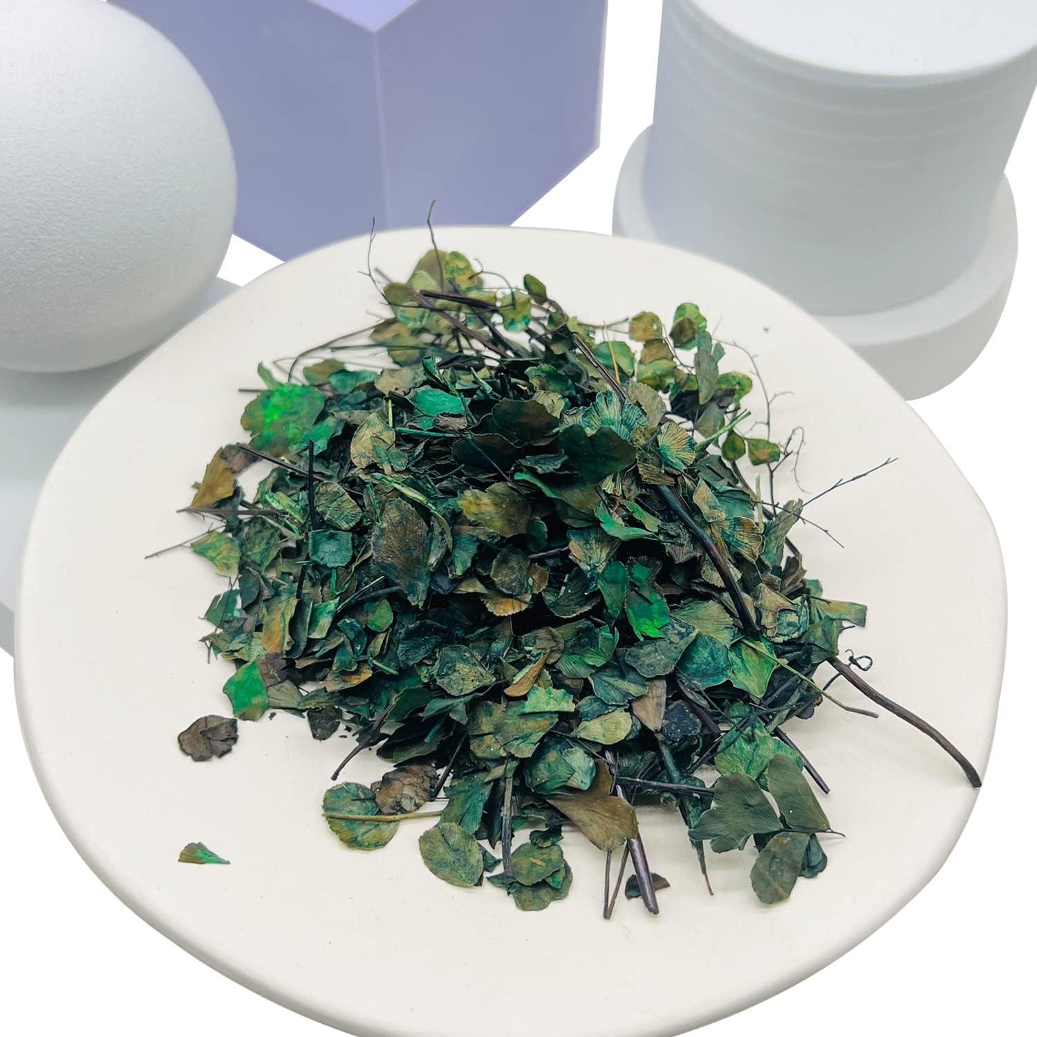 Cayway 3 Pack Model Scenery Leaf, Realistic Miniature Leaves and Artificial Bark, Simulation Leaves with Tweezers for Train Landscape Railway Artificial Grass Modeling