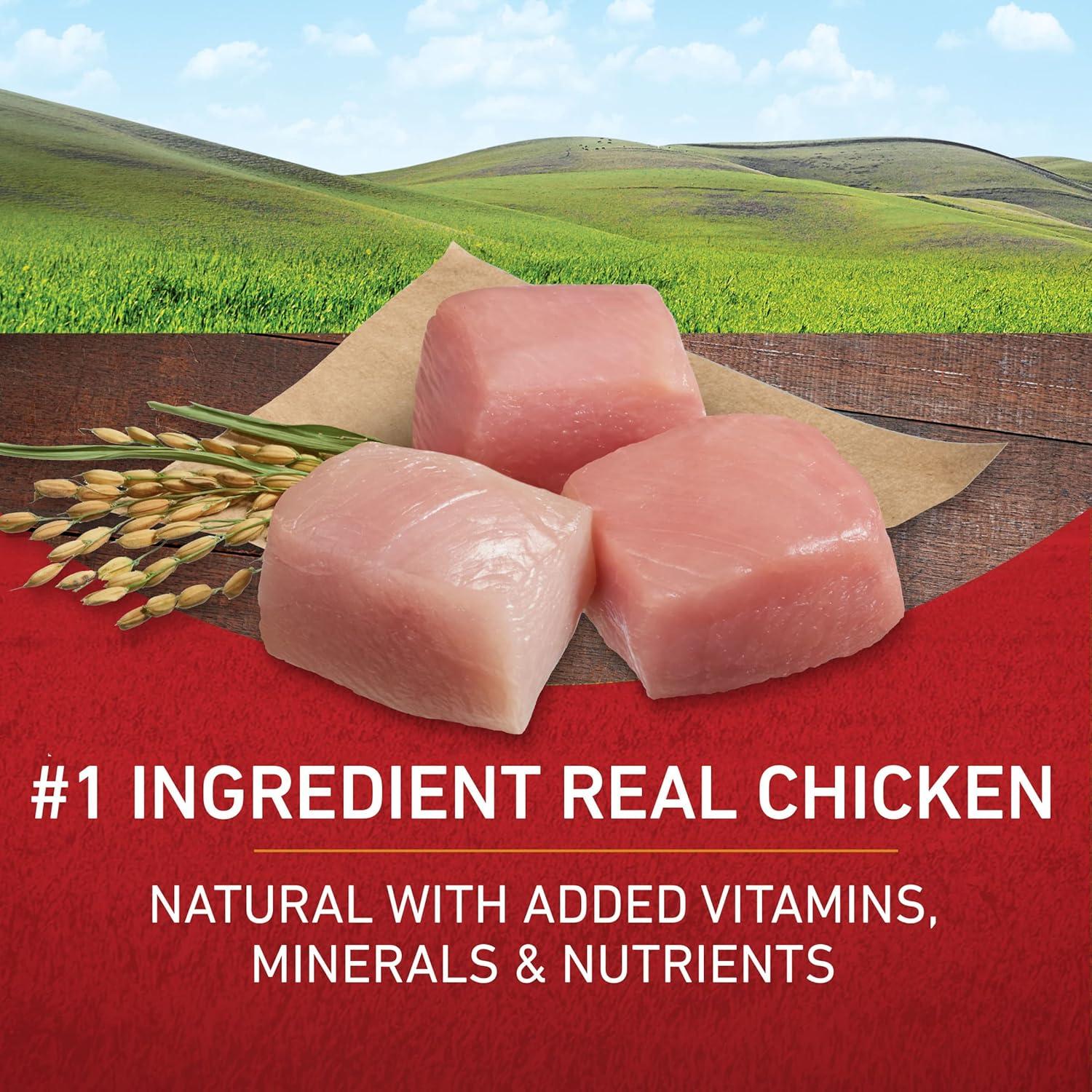 Purina ONE Comida Seca para Perros Pollo y Arroz 14.1 kg