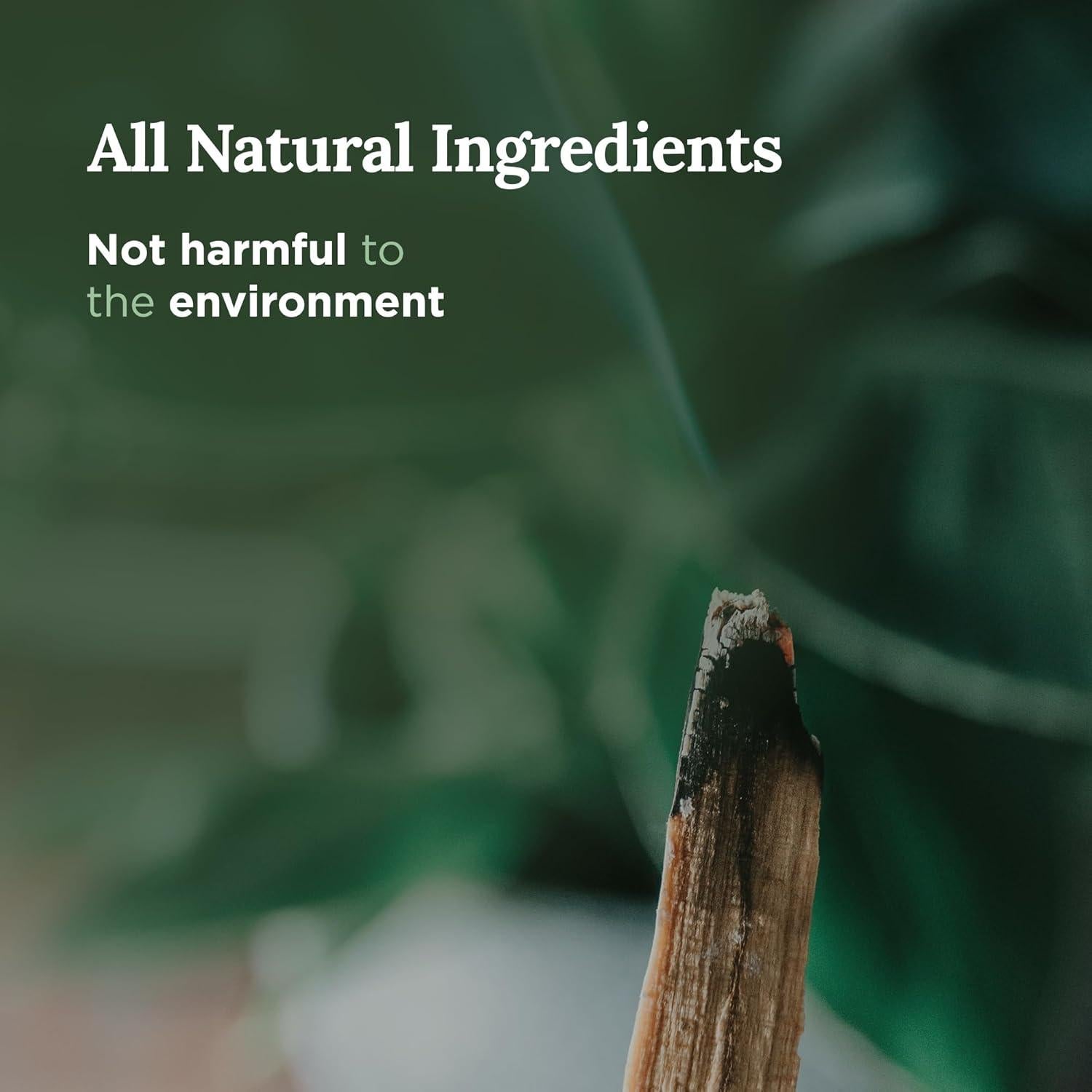 Vela Aromática de Palo Santo Magnífico 101 - 170 g - Cera de Soja