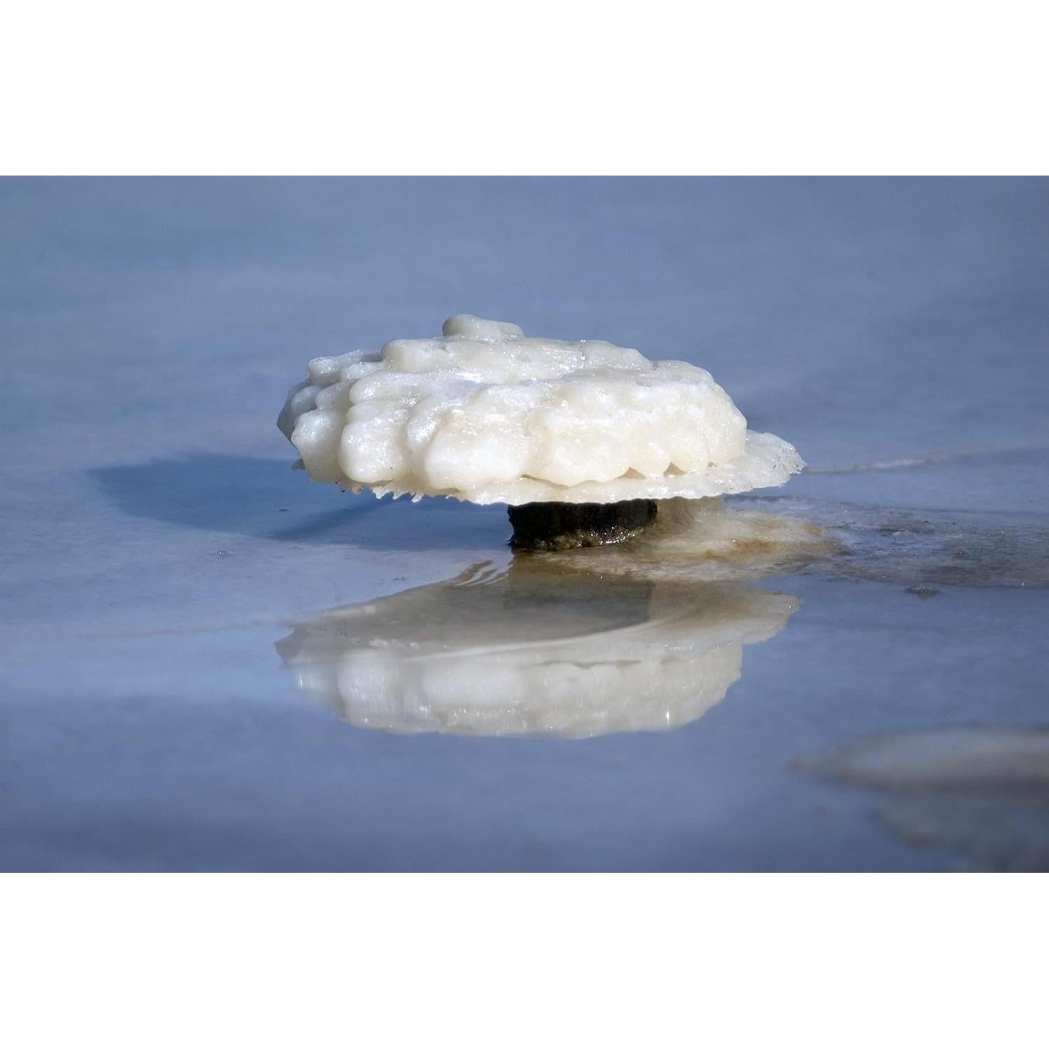 Sal del Mar Muerto Marco Esra 1.36 kg para Baño y Spa