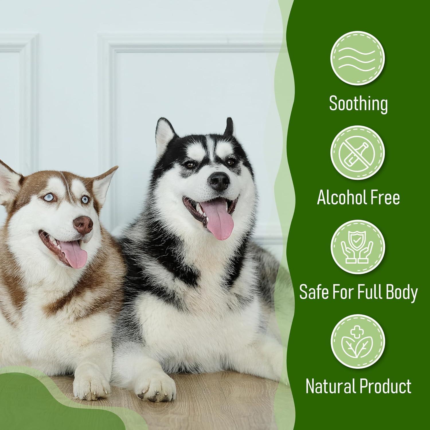 Toallitas para Perros Petazy 8 Unidades Aroma Lavanda