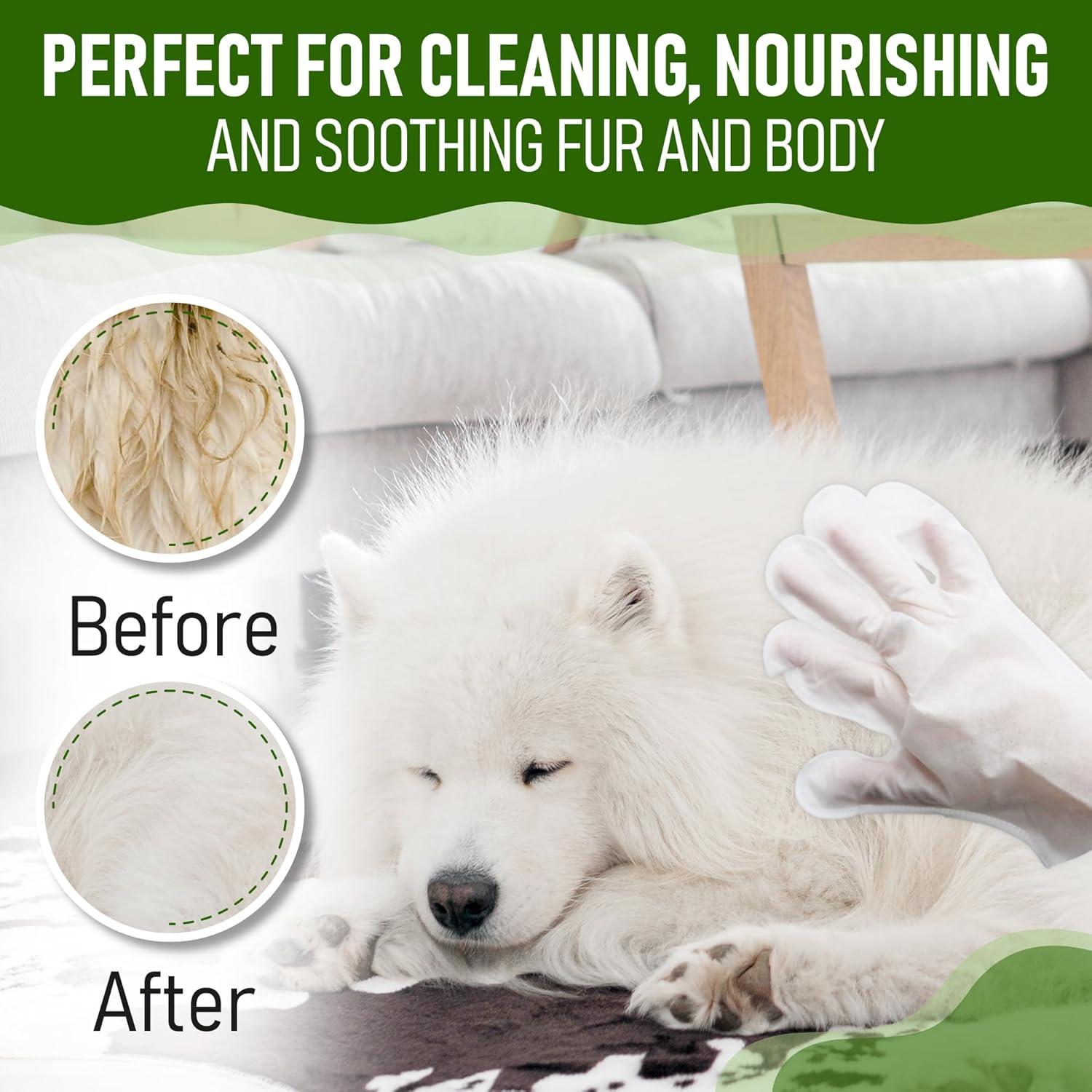 Toallitas para Perros Petazy 8 Unidades Aroma Lavanda