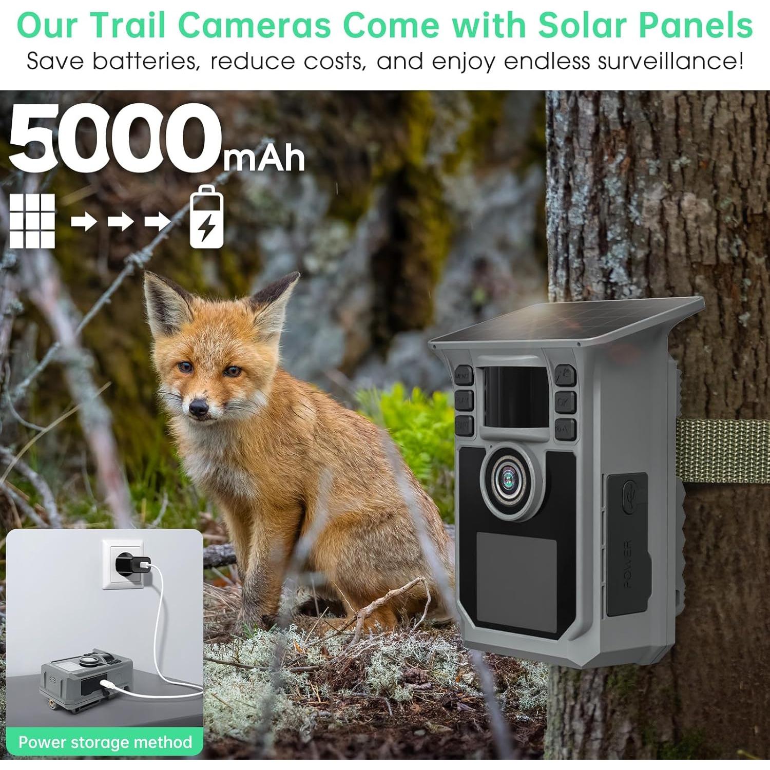 Cámara de Sendero Solar 4K Hrivcam 64MP WiFi IP67