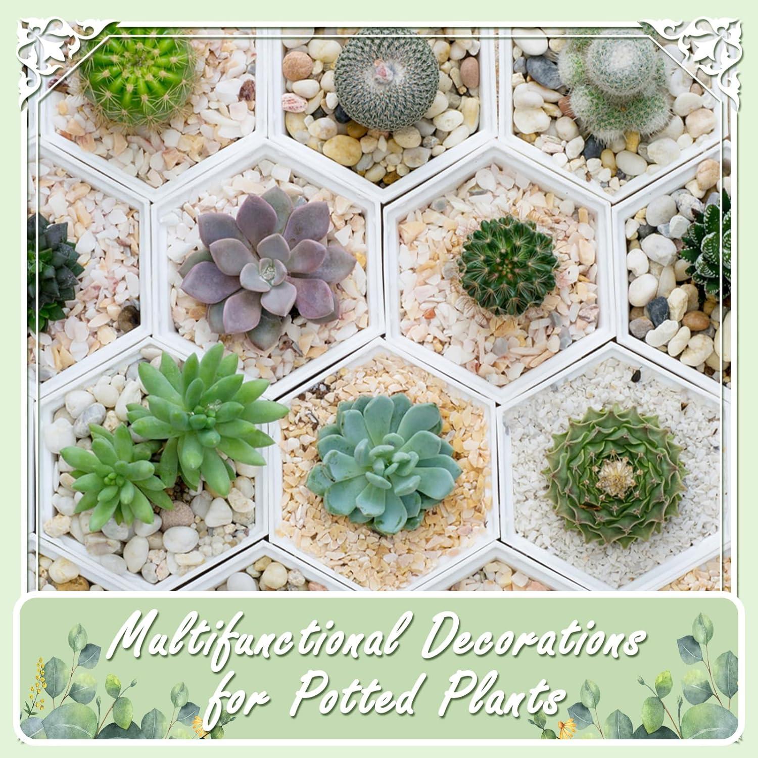 Rocas Naturales Pulidas Ausluru 2.27kg Negras para Jardín