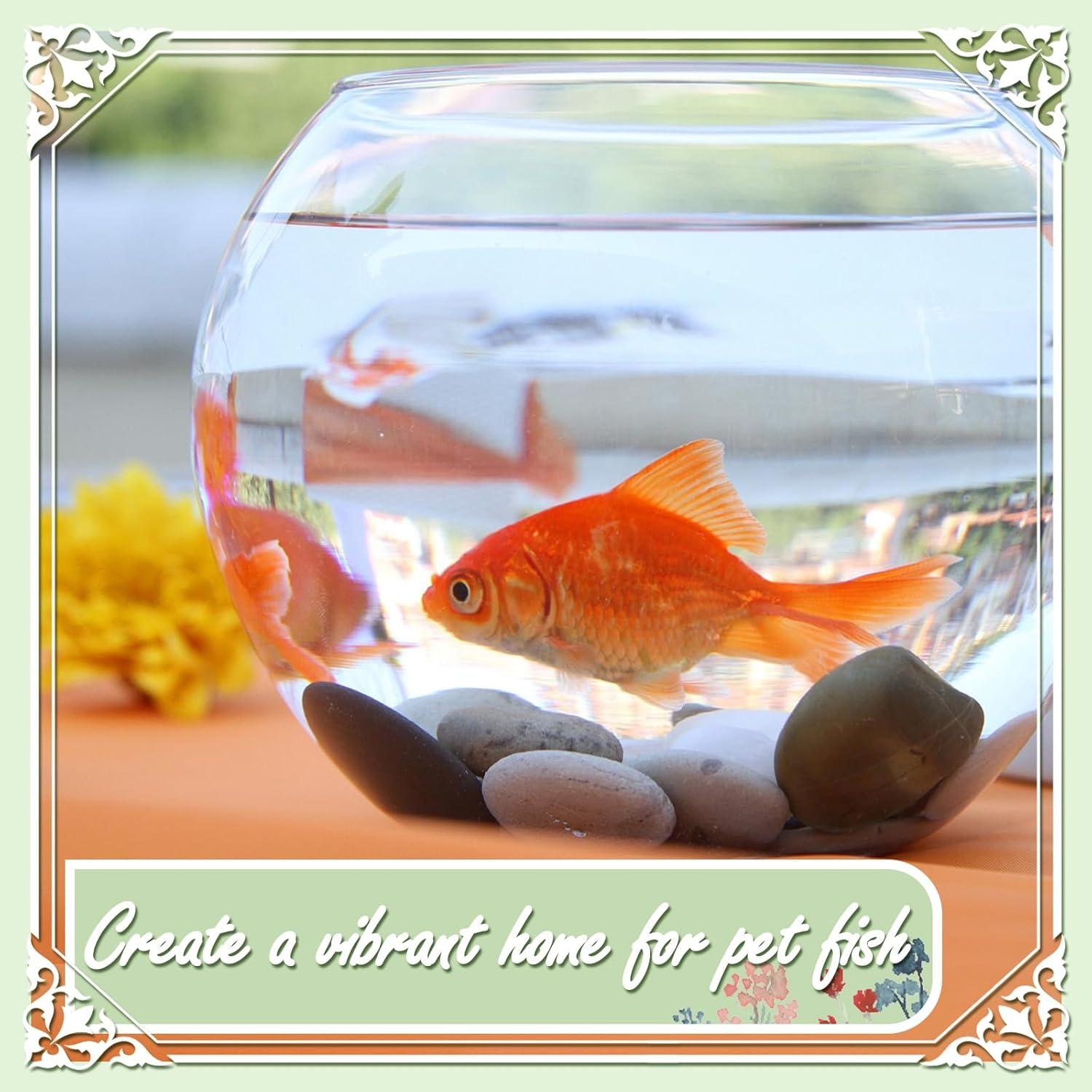 Rocas Naturales Pulidas Ausluru 2.27kg Negras para Jardín