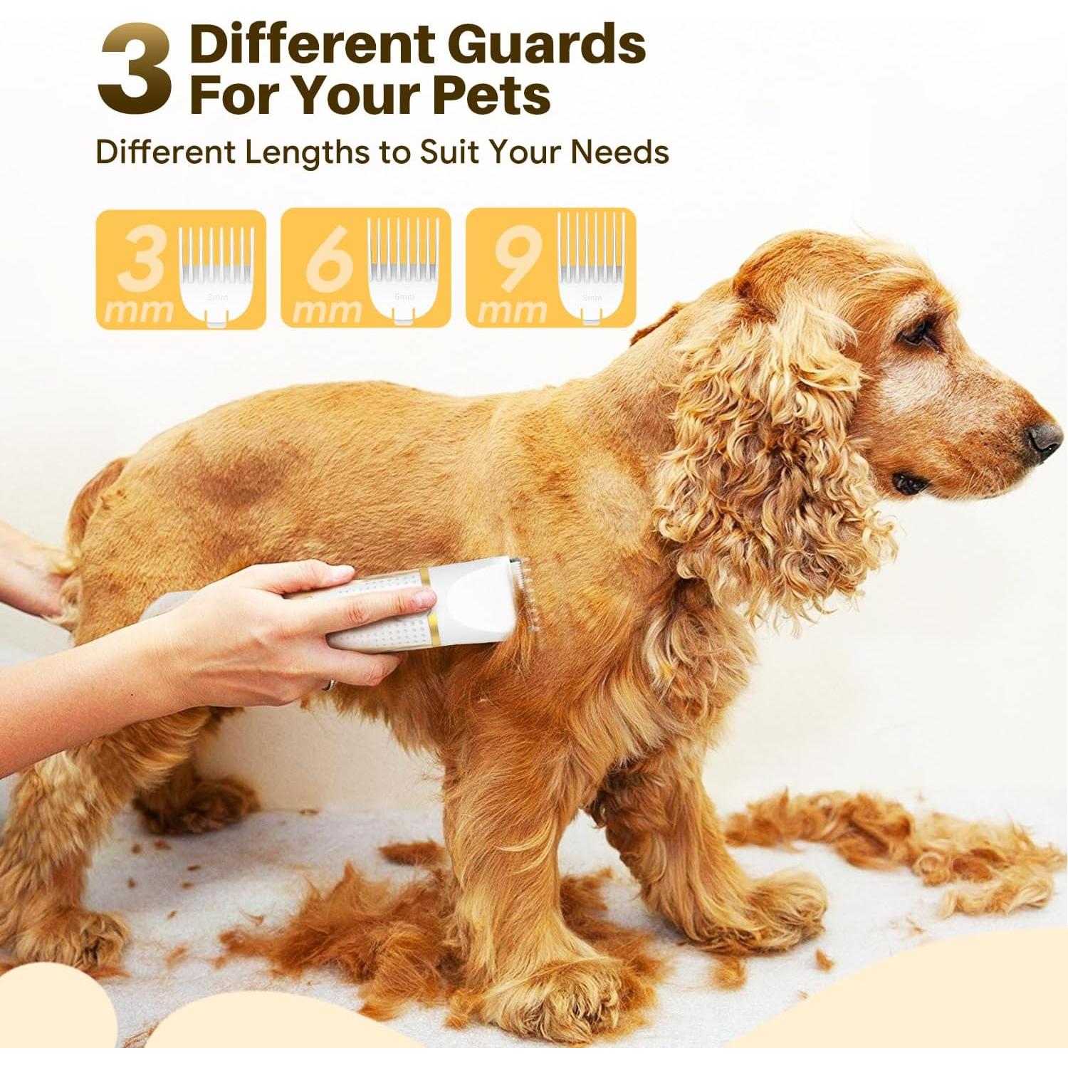 Kit de Aseo 4 en 1 Aibors para Perros Pequeños IPX7