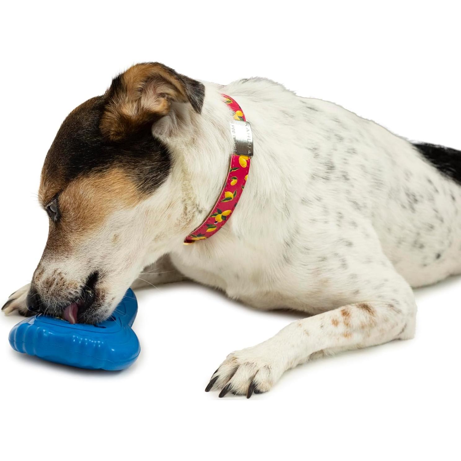 PetSafe Chilly Penguin, Freezable Dog Toy for Small Dogs, Fill and Freeze, Frozen Dog Toy to Fill with Treats, French Vanilla Scented, Interactive Pet Puzzle for Boredom or Separation Anxiety, Small