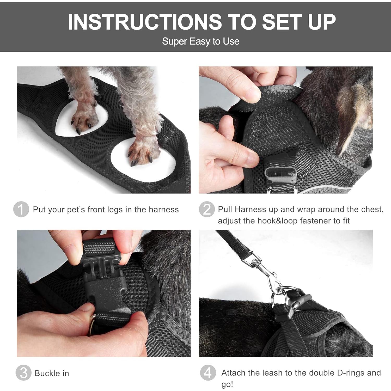 Conjunto Arnés y Correa Fida para Gatito y Cachorro Negro