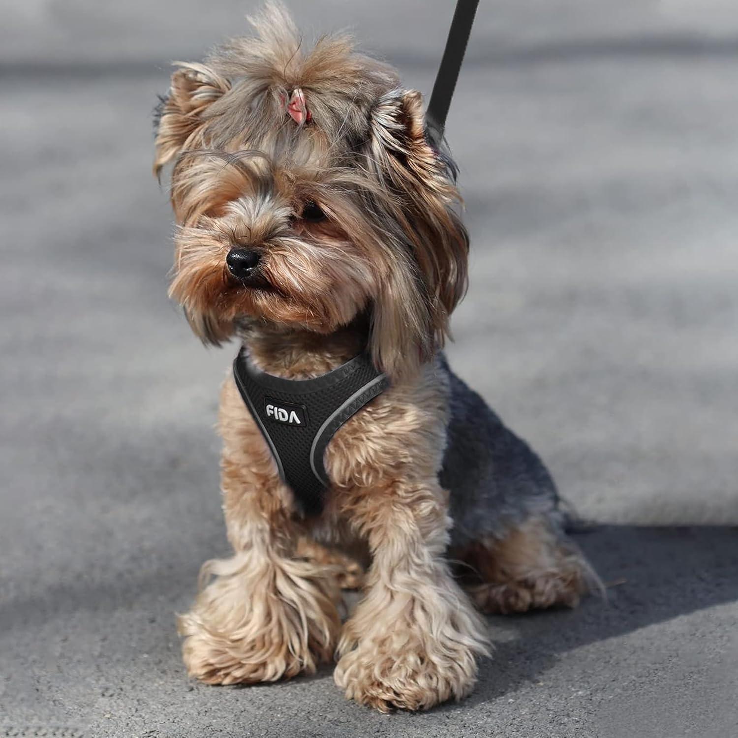 Conjunto Arnés y Correa Fida para Gatito y Cachorro Negro