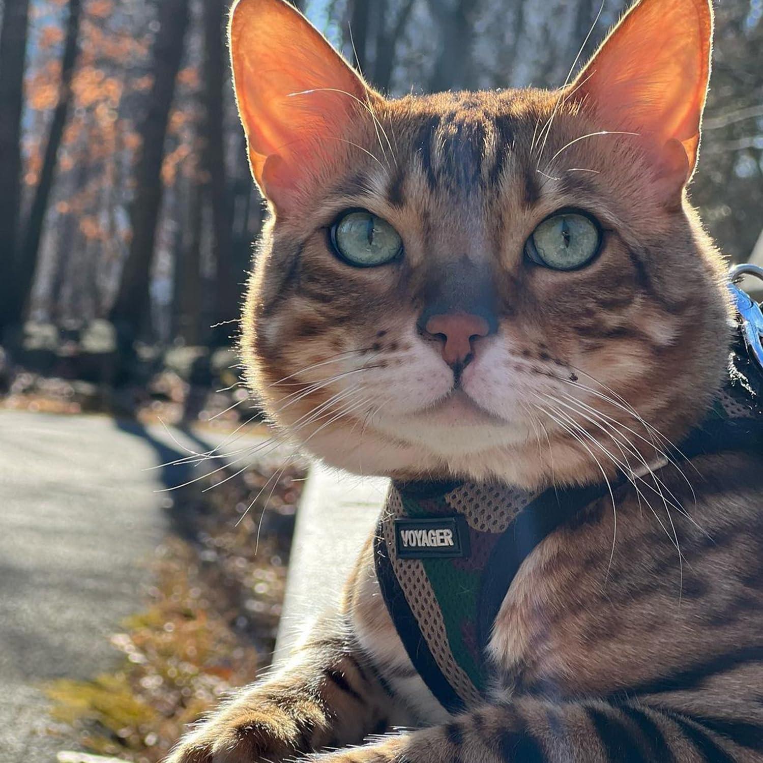 Arnés para Perros Voyager Step-In Air - Malla Reflectante XS