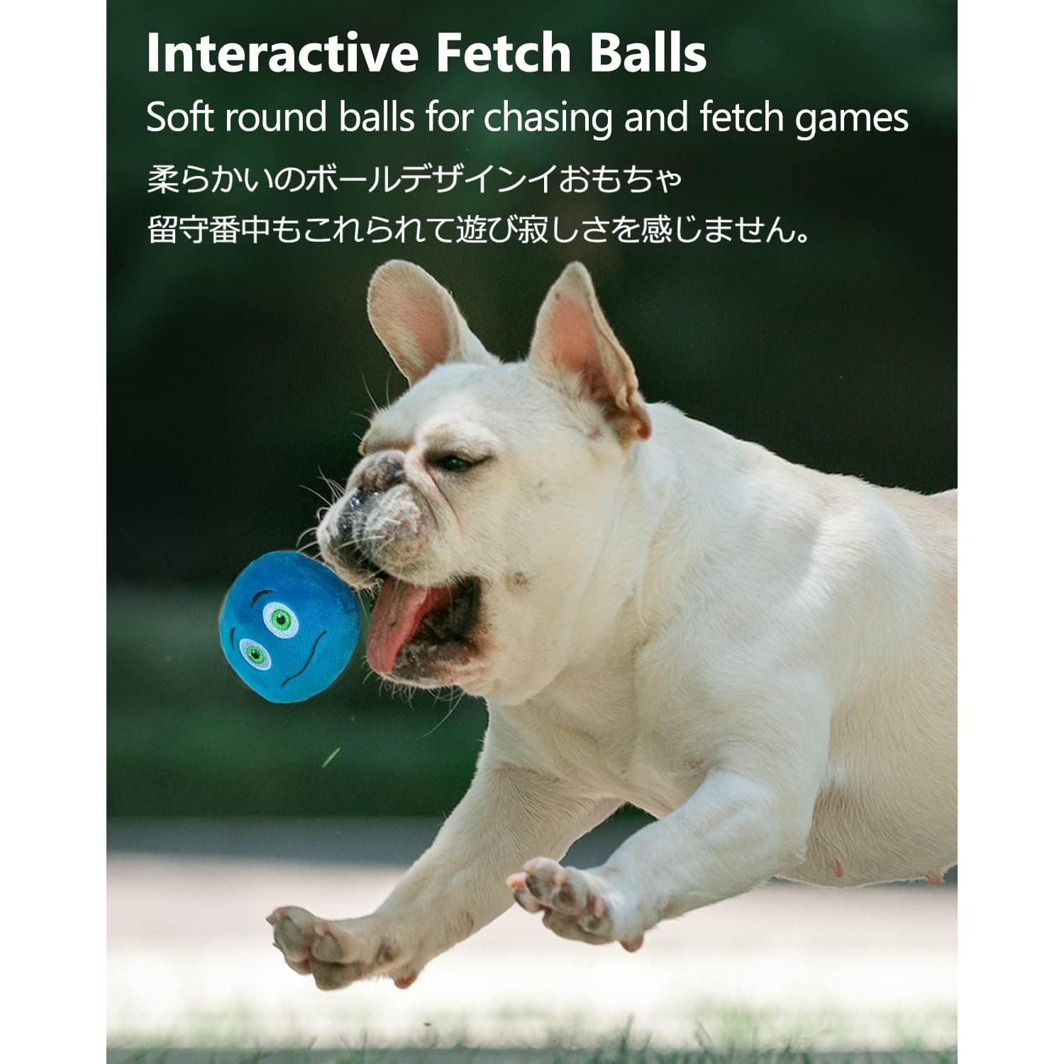 Juguetes Squeaky para Perros SCHITEC - 6 Pelotas Suaves 6.6 cm