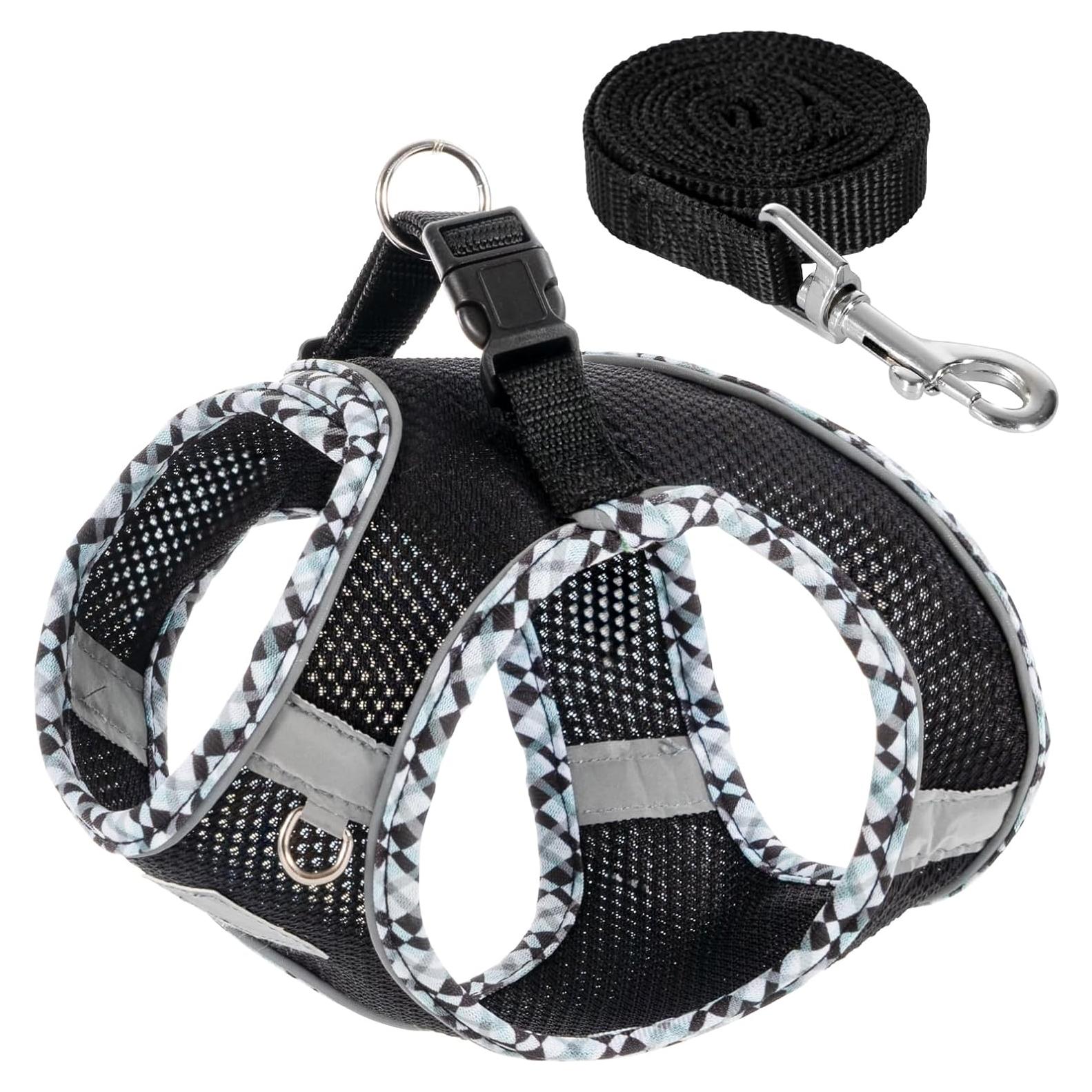 Conjunto Arnés y Correa para Perros Pequeños TomteNisse