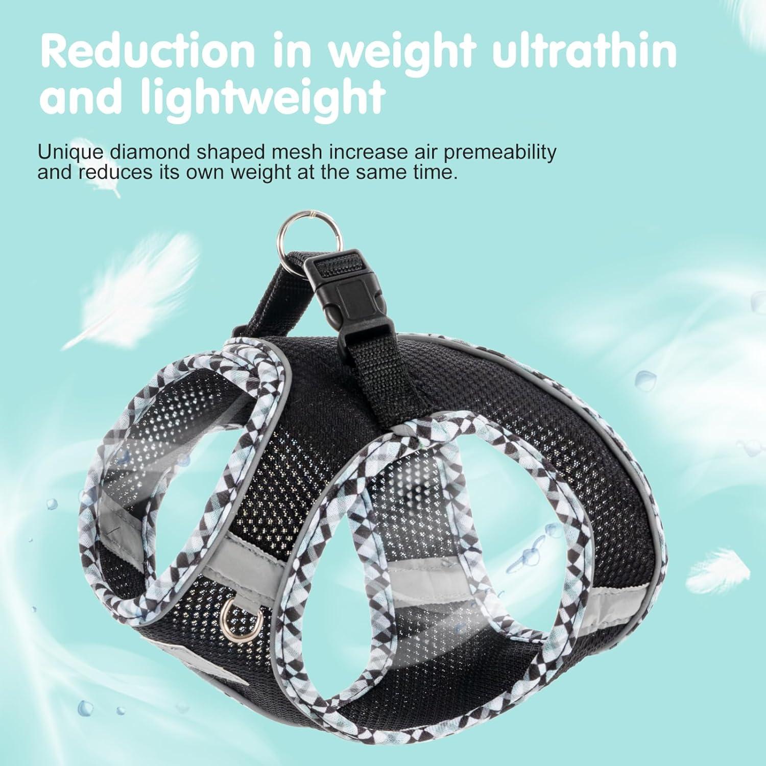 Conjunto Arnés y Correa para Perros Pequeños TomteNisse