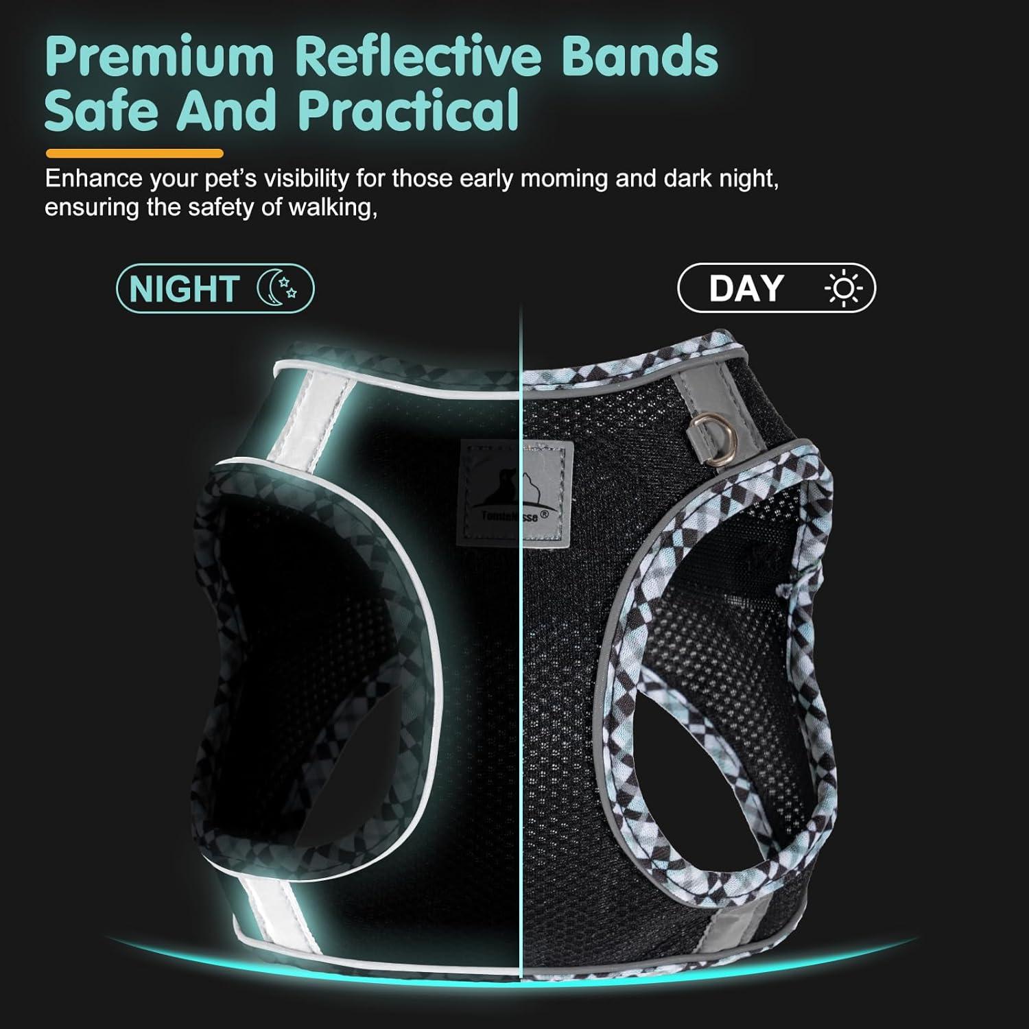 Conjunto Arnés y Correa para Perros Pequeños TomteNisse