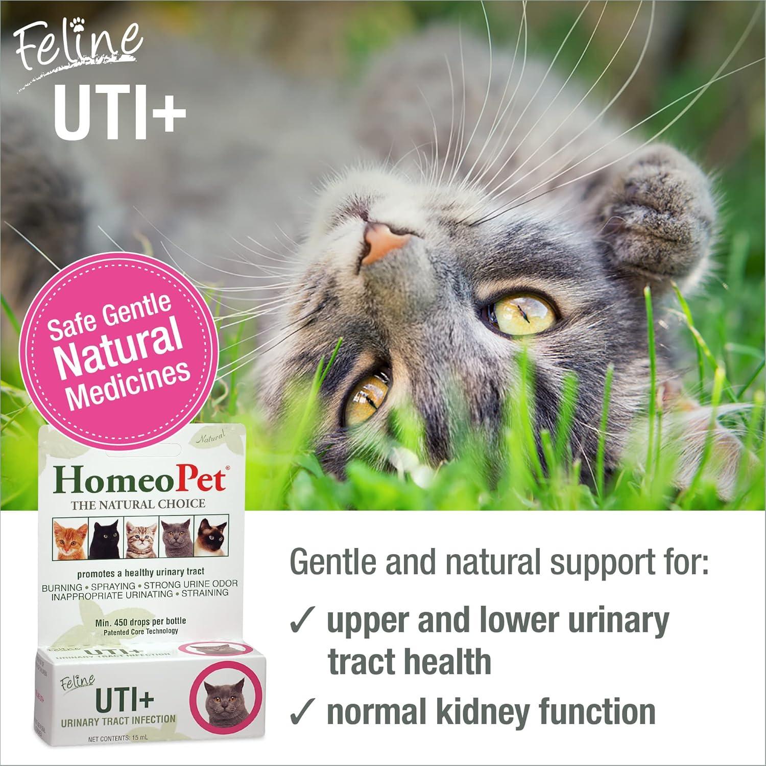 HomeoPet Feline UTI Plus 15ml - Suplemento Urinario para Gatos