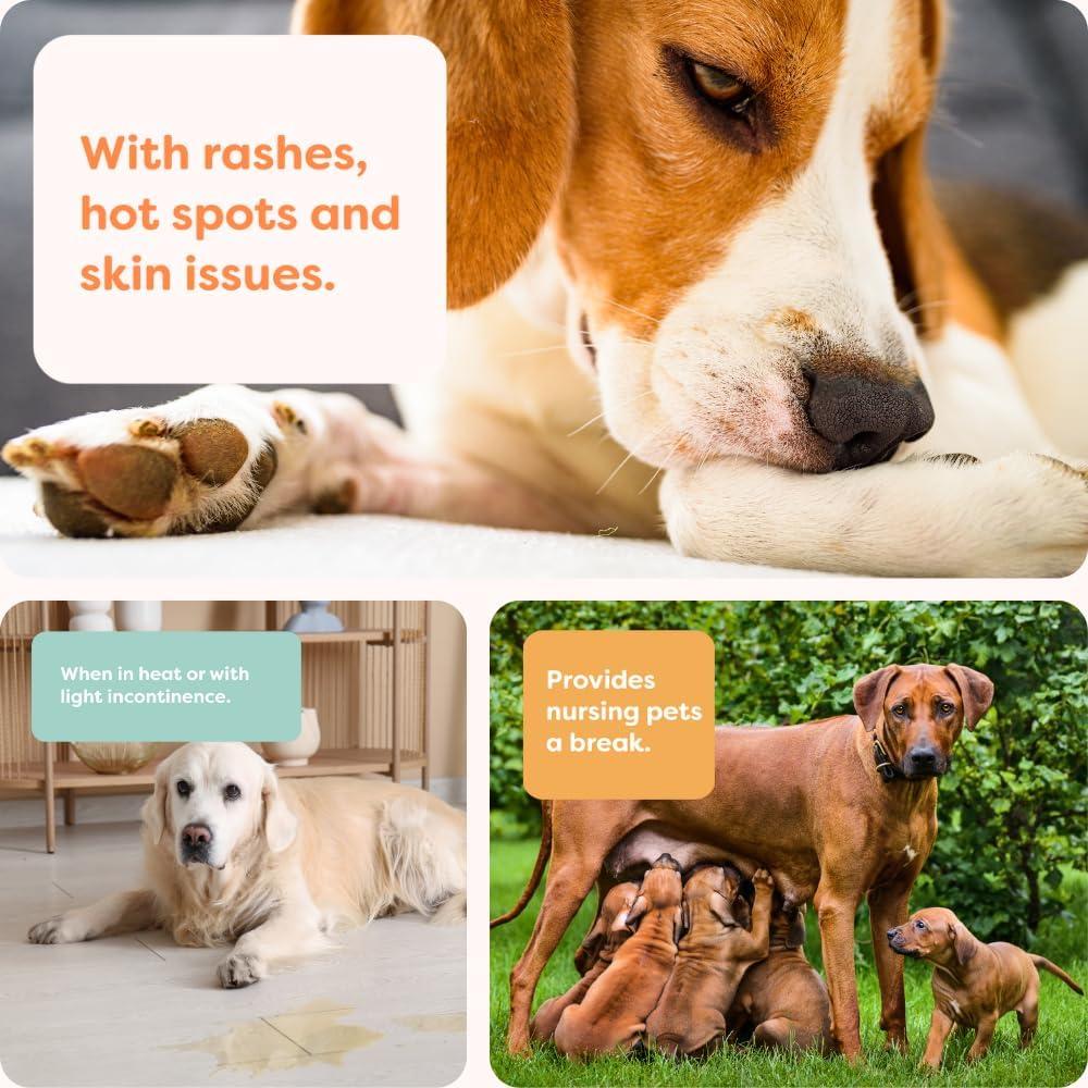 Traje de Recuperación para Perros Suitical 3XS Camuflaje Rosa