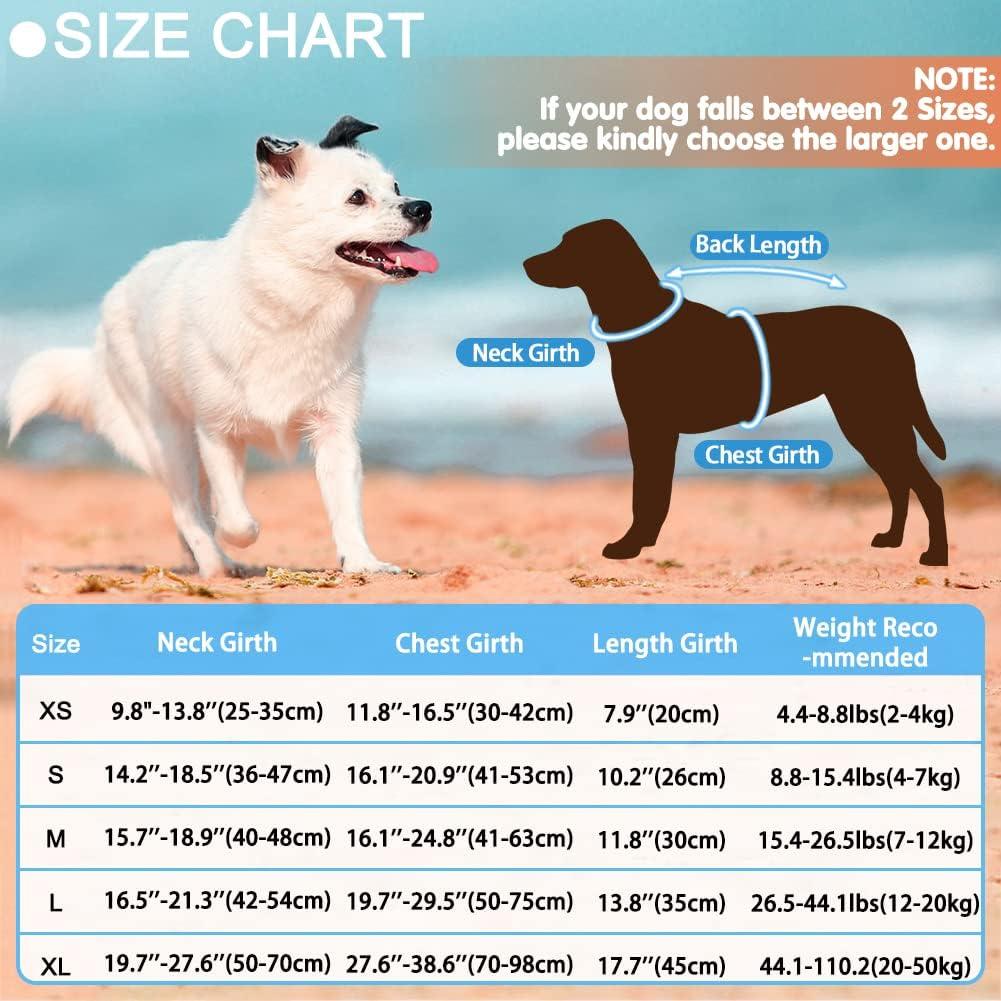 Chaleco Salvavidas para Perros EMUST Sirena Azul XS