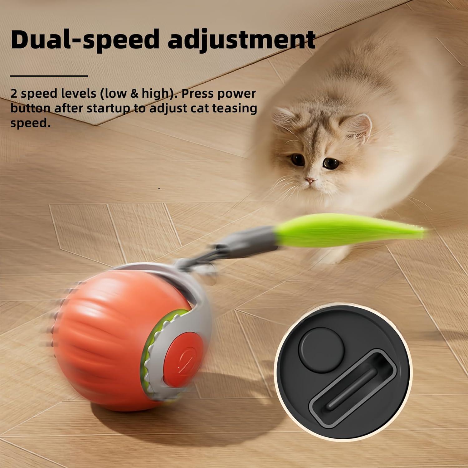 Juguete Interactivo para Gatos HuiCheDaWa Racing Tail 5.0