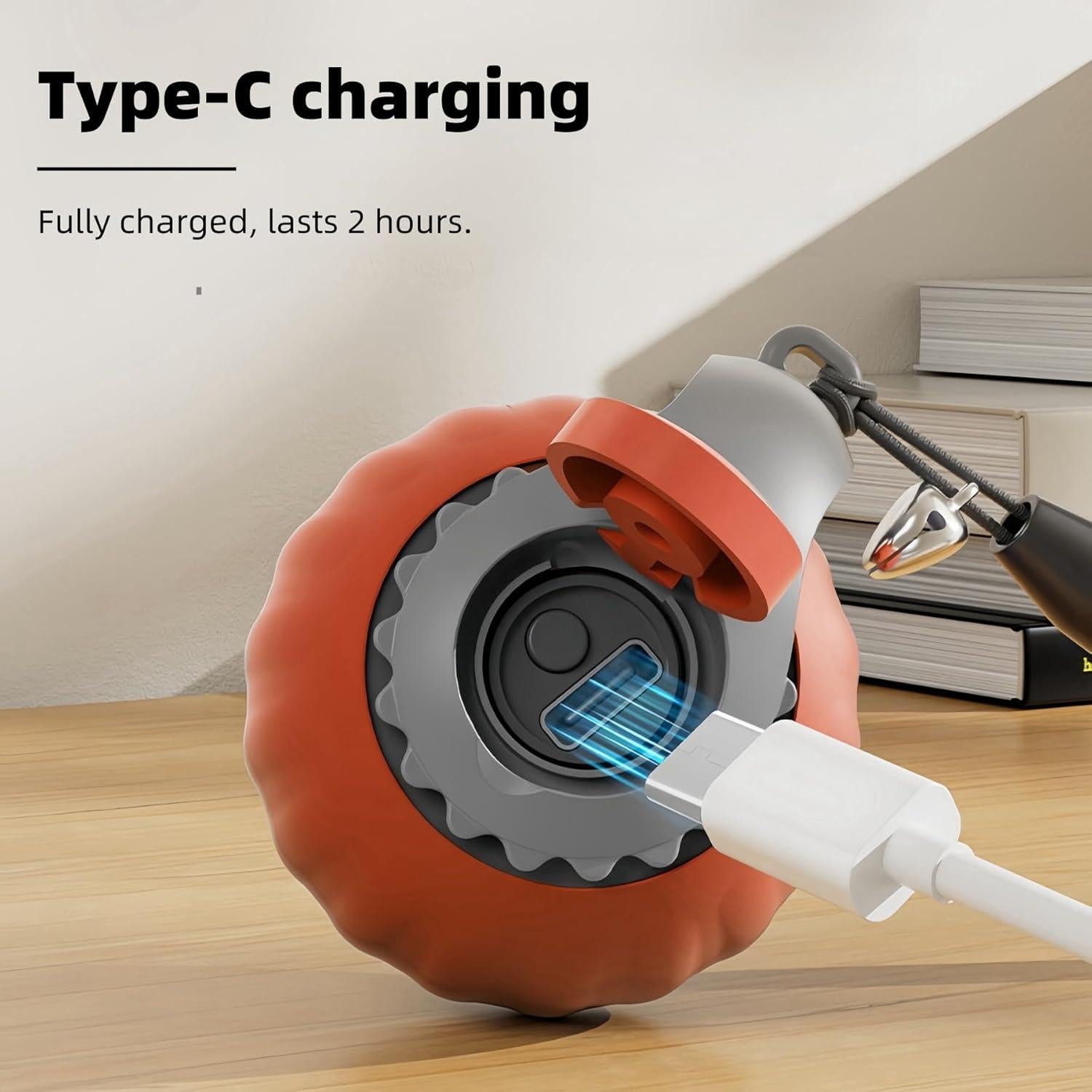 Juguete Interactivo para Gatos HuiCheDaWa Racing Tail 5.0