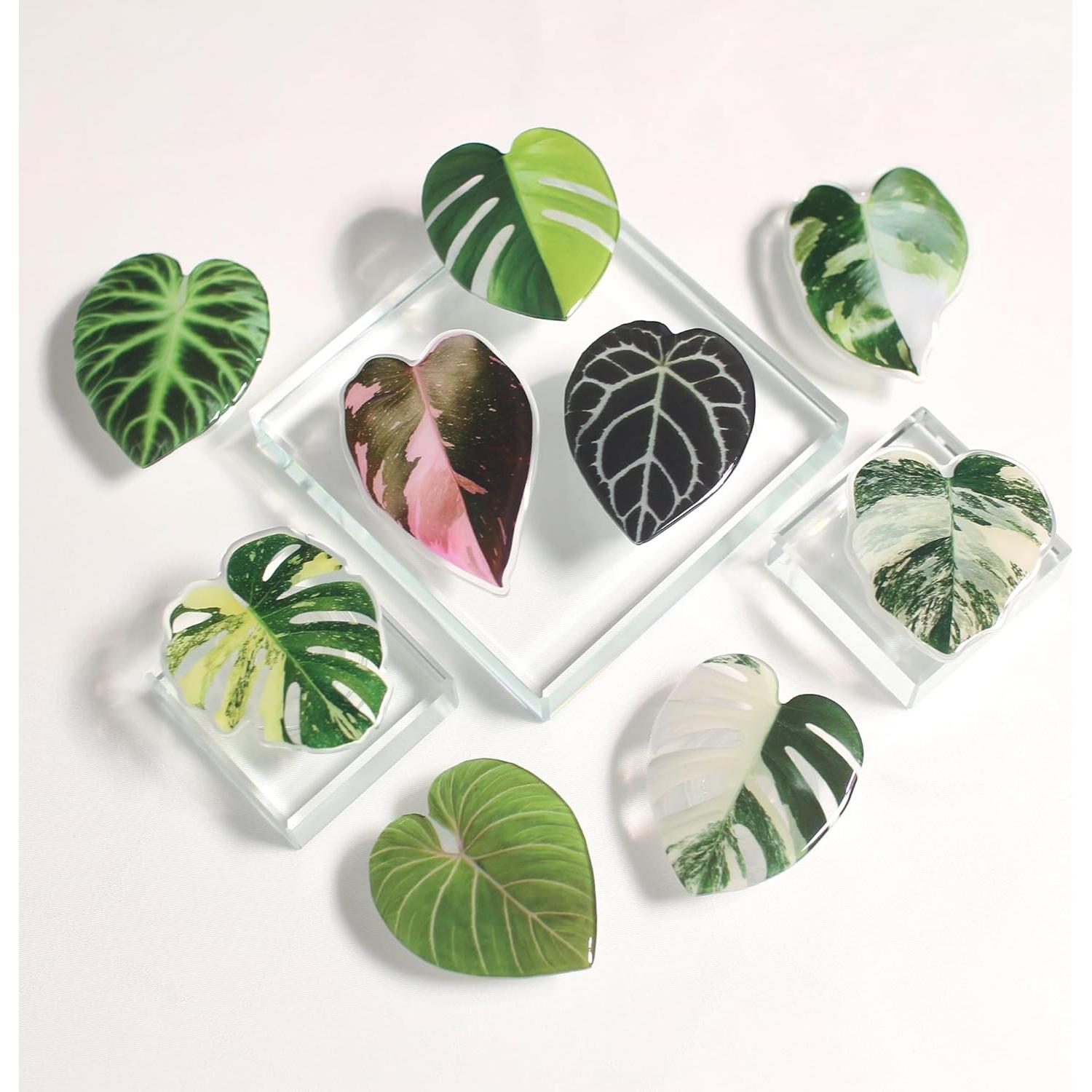 Soporte para teléfono móvil colapsable OnTheGrip Albo Monstera