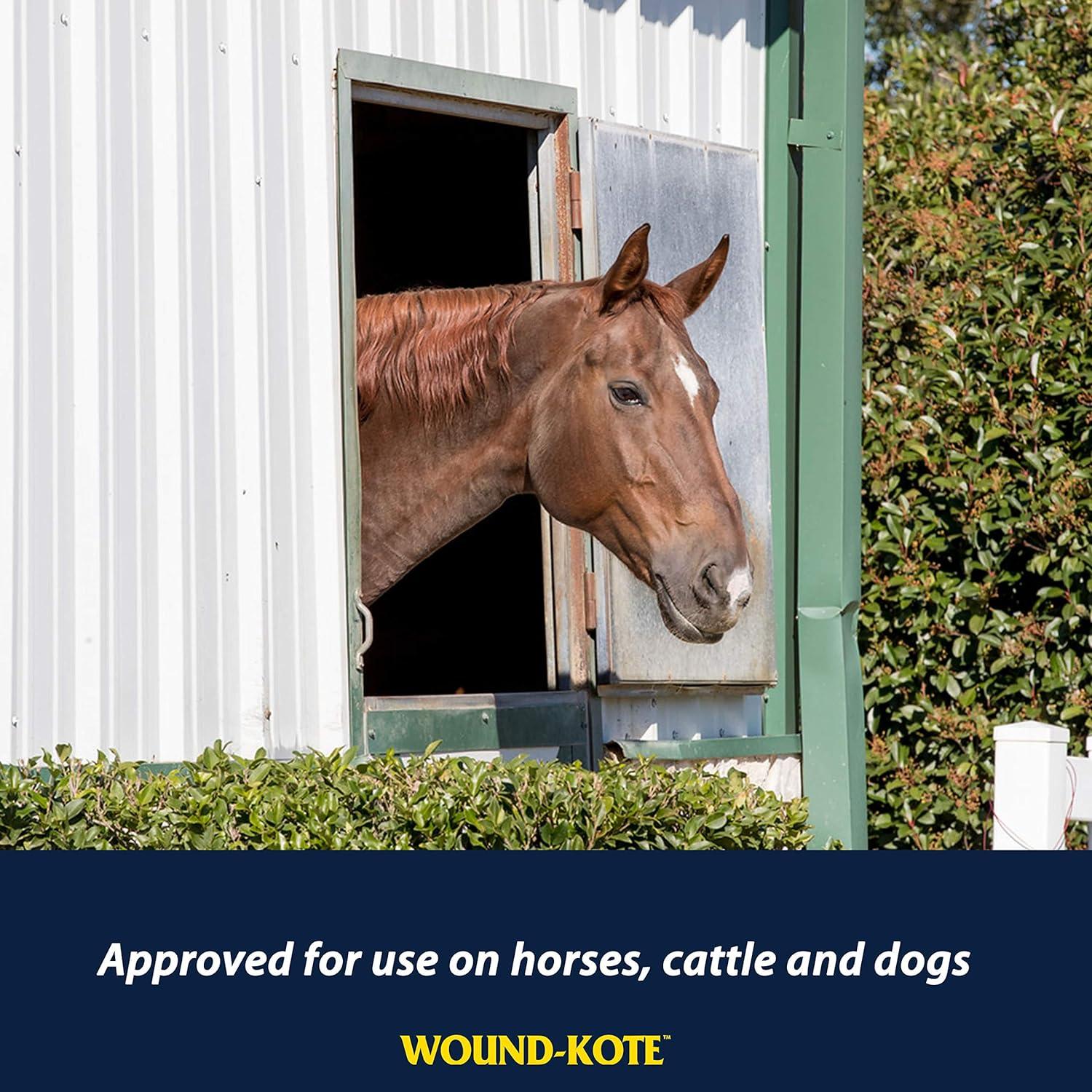 Farnam Wound-Kote Spray Antisético 142 g para Caballos y Perros